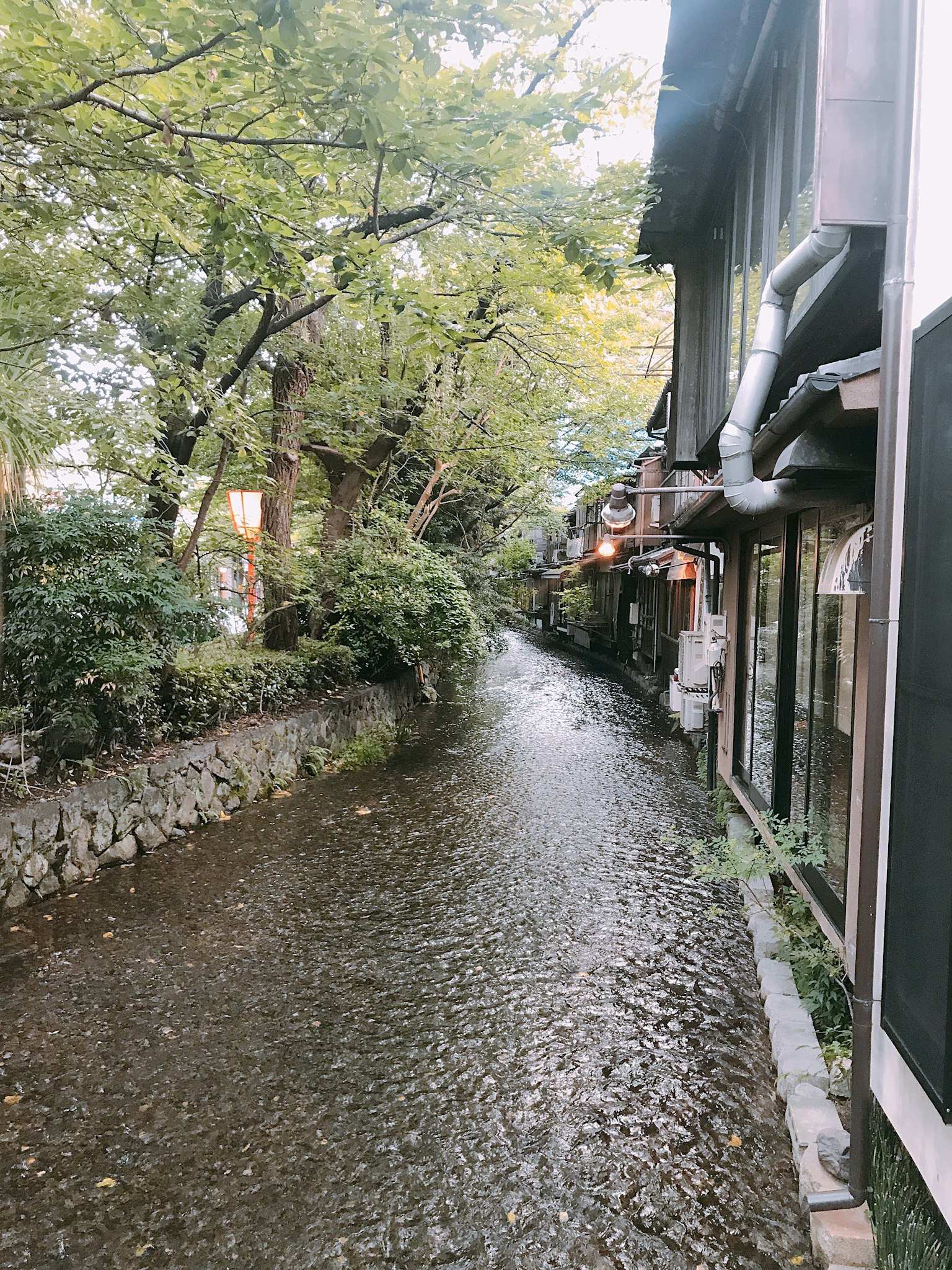 A scenic view of a traditional street with a flowing waterway