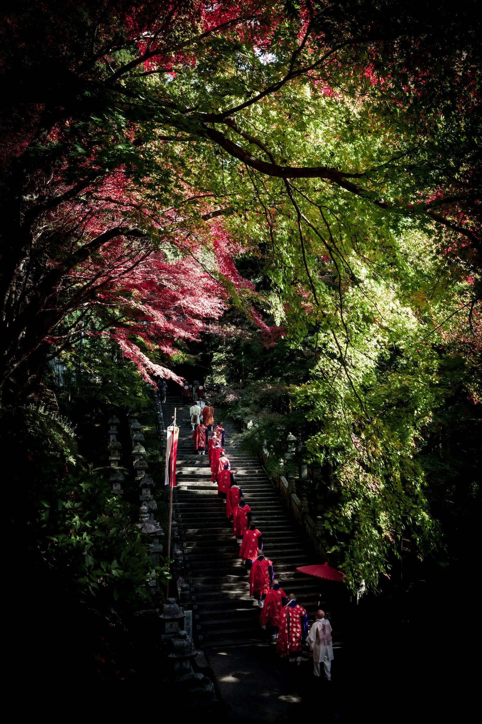 photo-DjiIpB1c6ggsVdxz9HNv-image