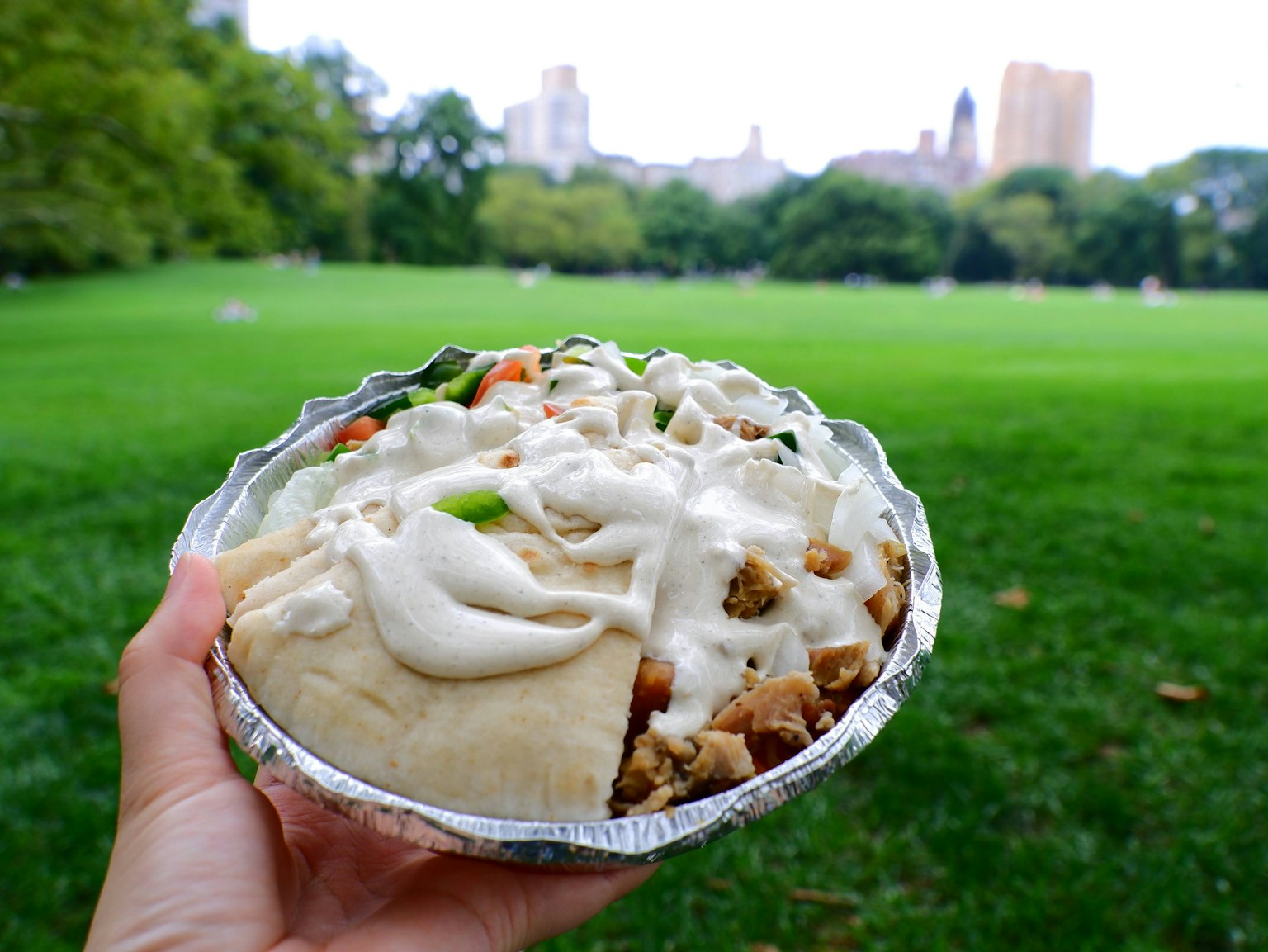 Una mano sosteniendo un tazón de comida con un parque al fondo