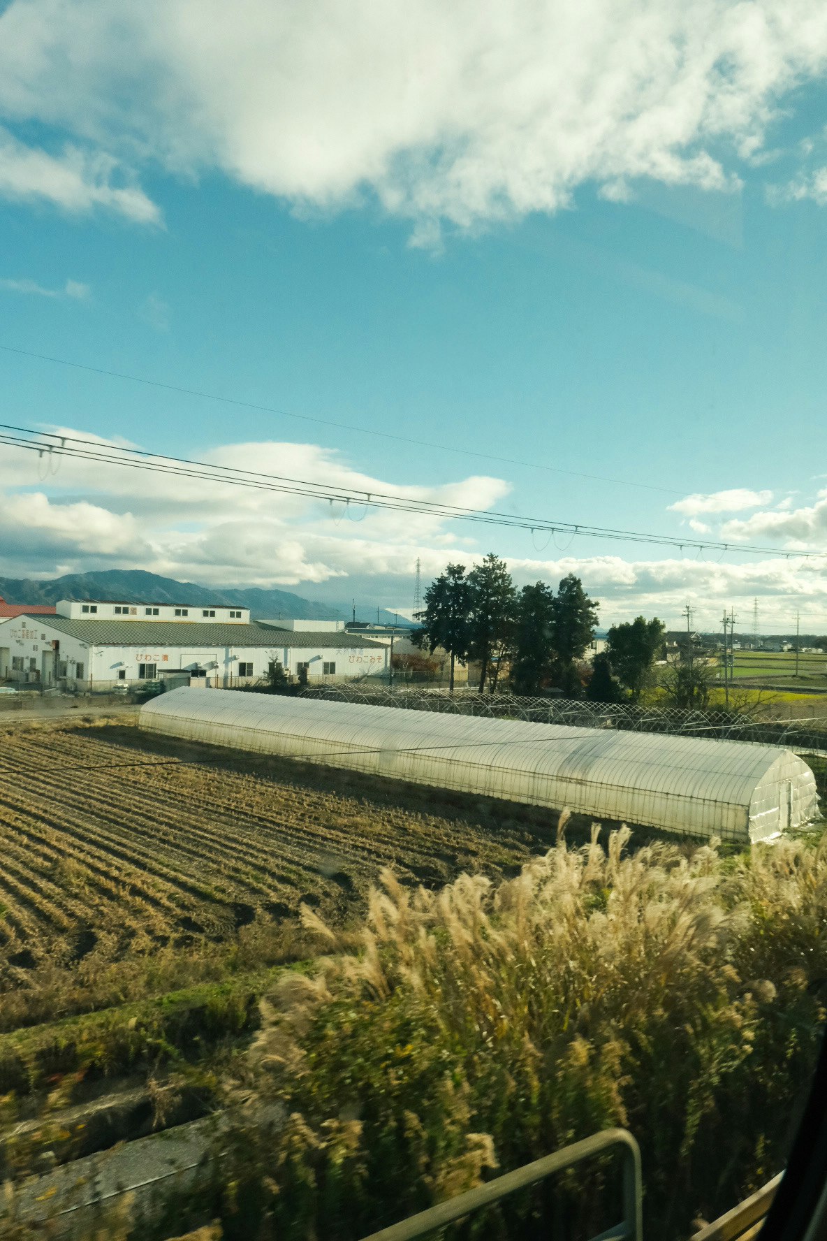 畑と温室のある郊外の風景