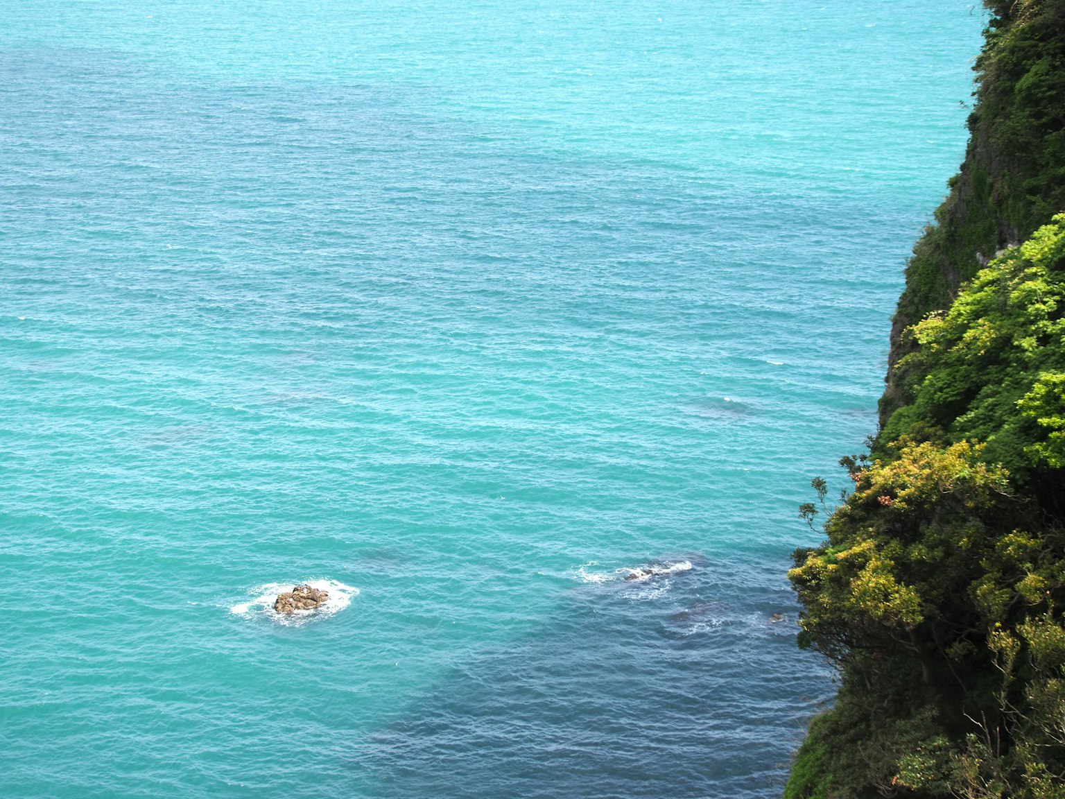 Vista panoramica dell'oceano turchese e della scogliera verde