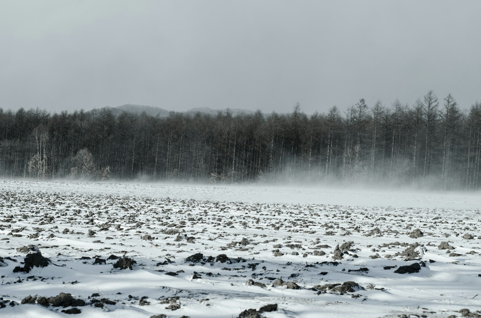 Ampio paesaggio innevato con foresta nebbiosa sullo sfondo
