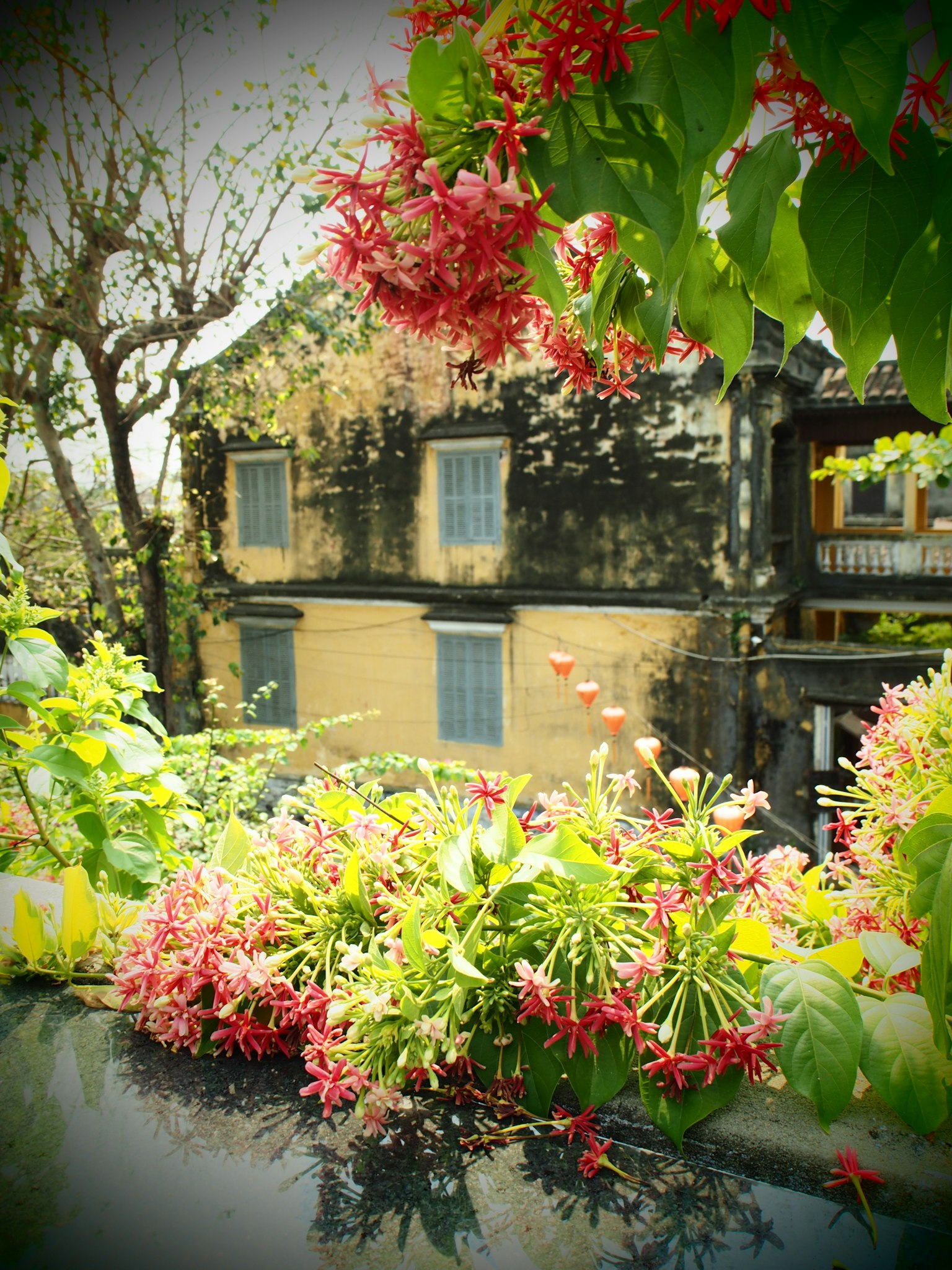 Una vista escénica que presenta un edificio antiguo y flores vibrantes
