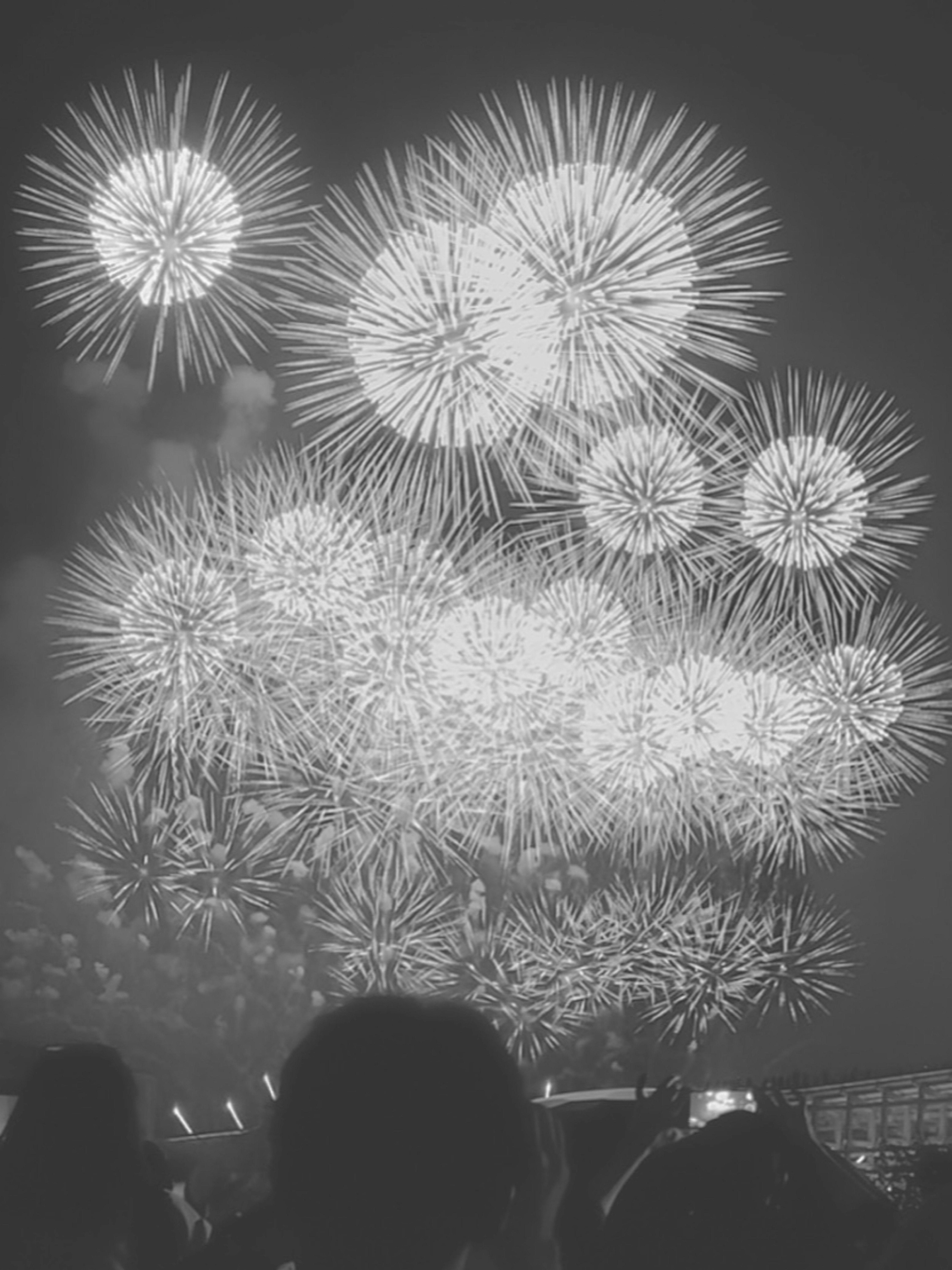 モノクロの花火が夜空に広がる光景