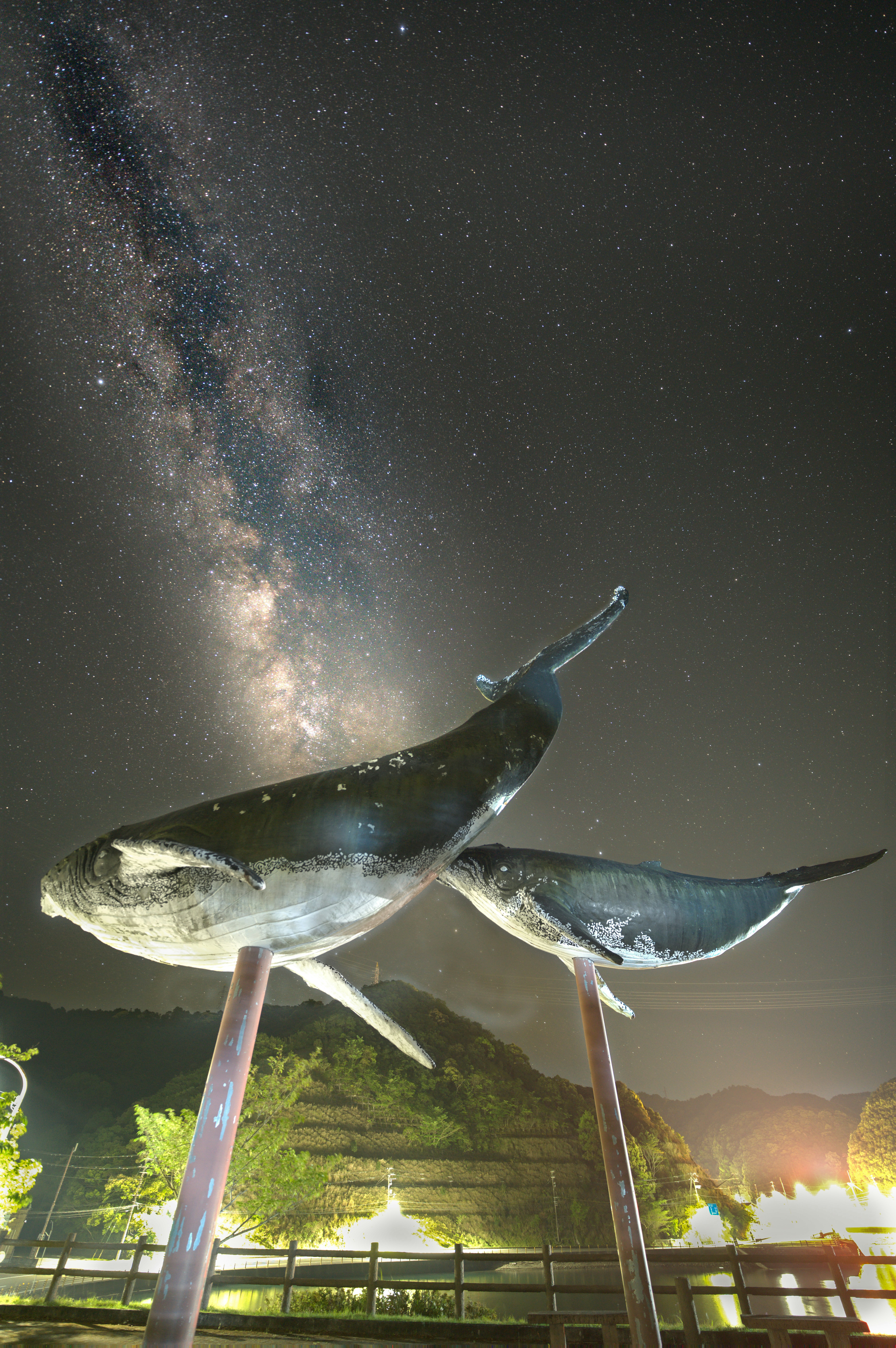天の川とくじら博物館の鯨のモニュメントの夜空