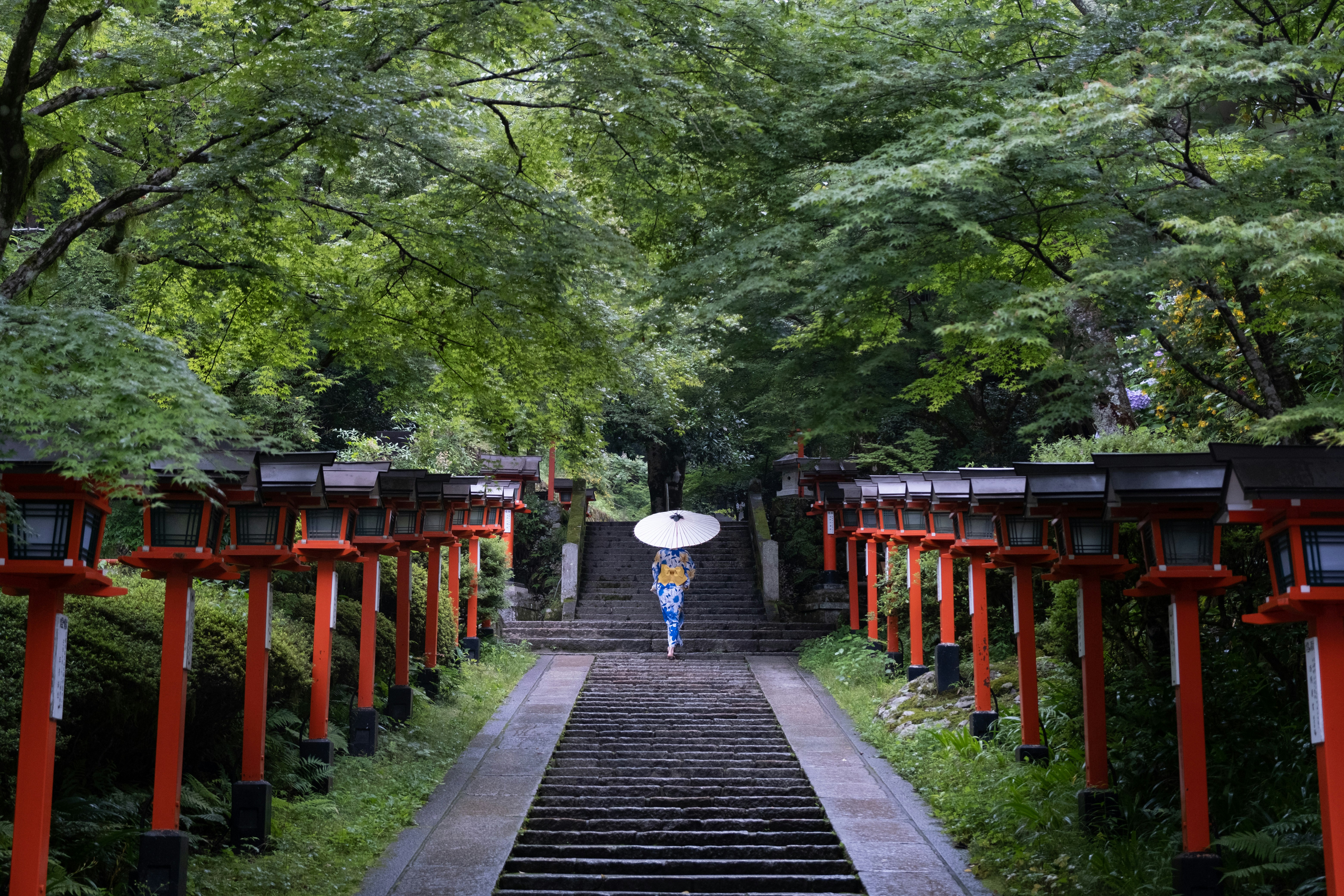 緑の木々に囲まれた朱色の鳥居が並ぶ参道