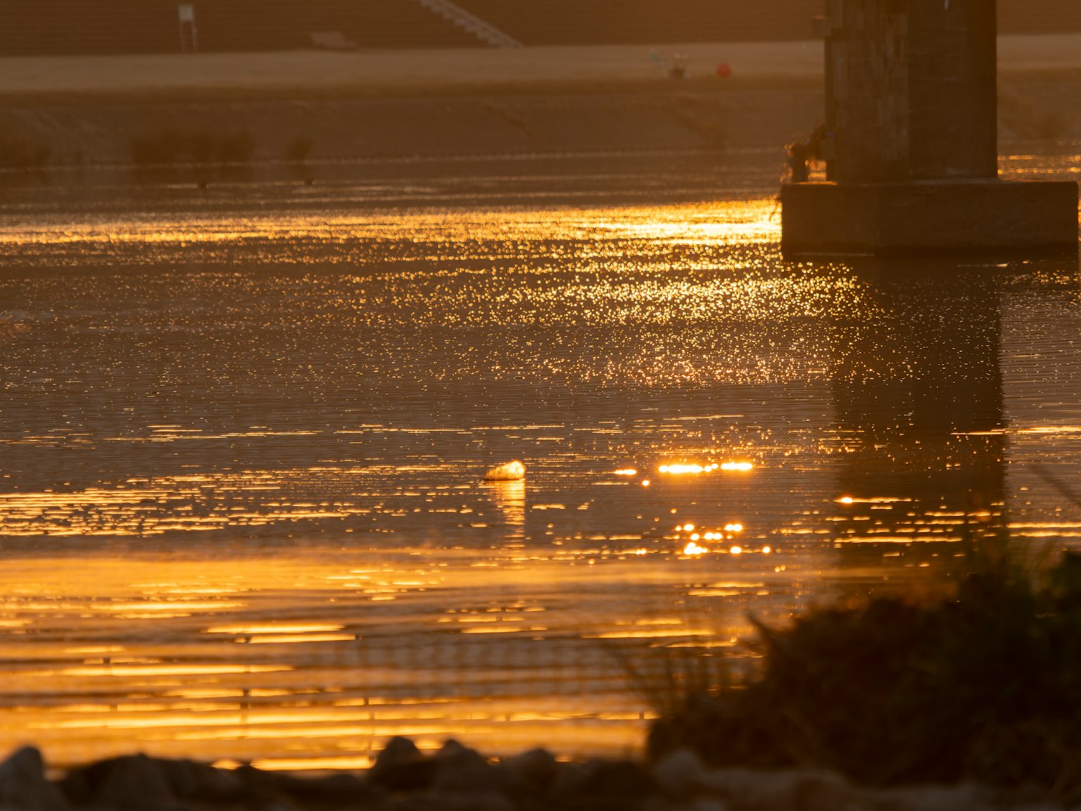 寧靜的河流場景，夕陽的光輝在水面上反射