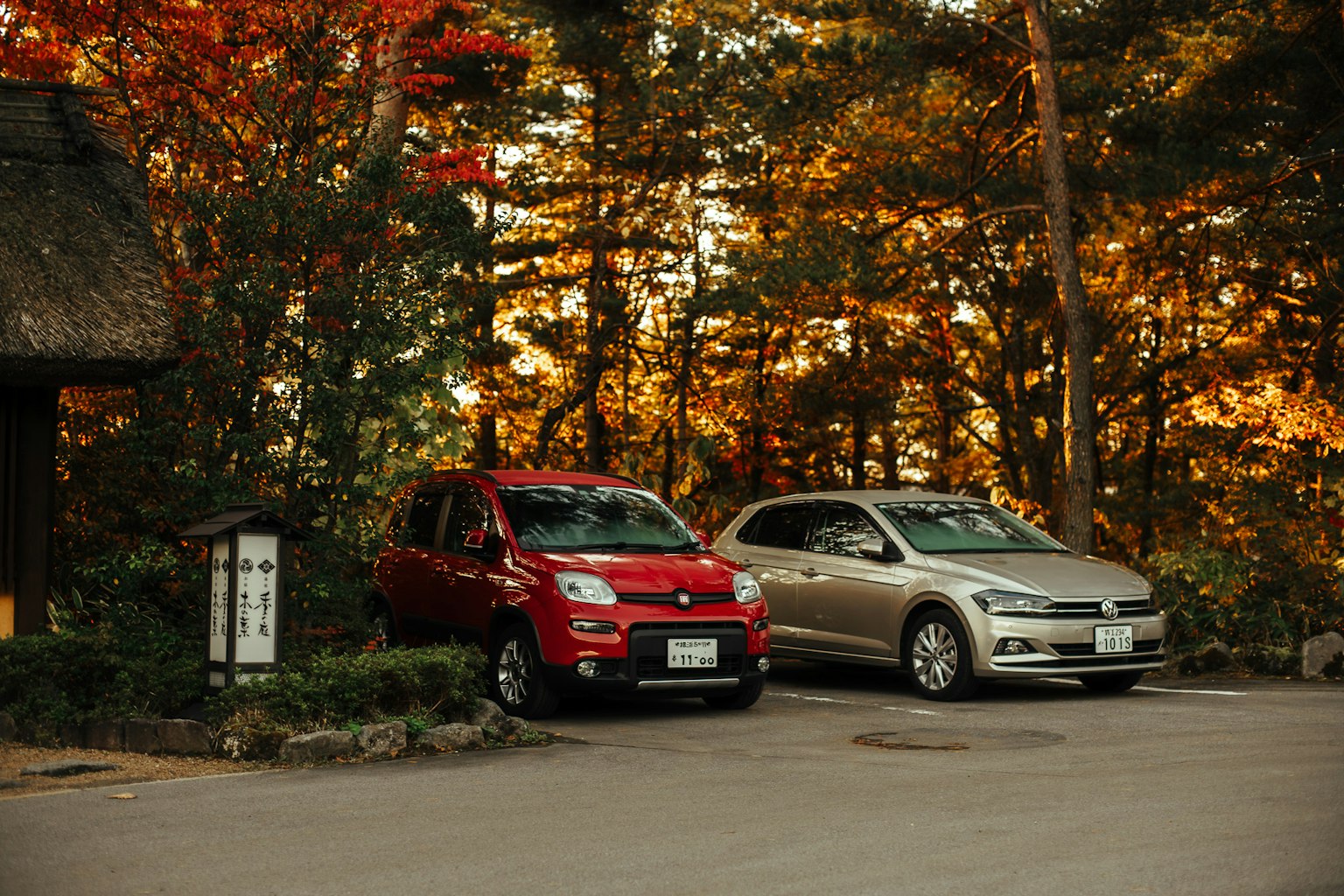 Coches rojo y plateado estacionados entre el follaje de otoño