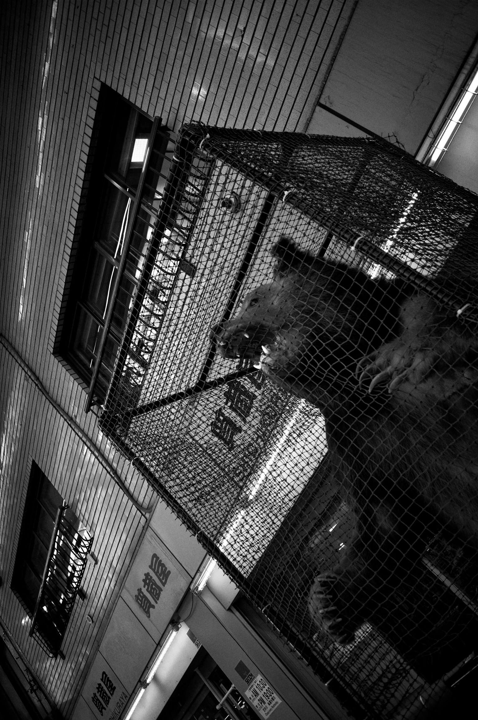 photo-DnQSeFC8IzKtjbuMIIQK-image