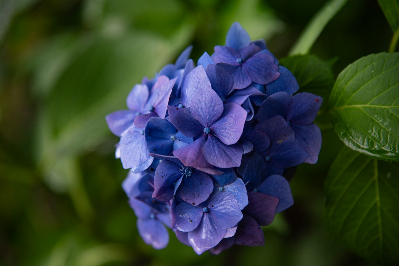 photo-DnSeXlYONK5qWnKNVcrb-image