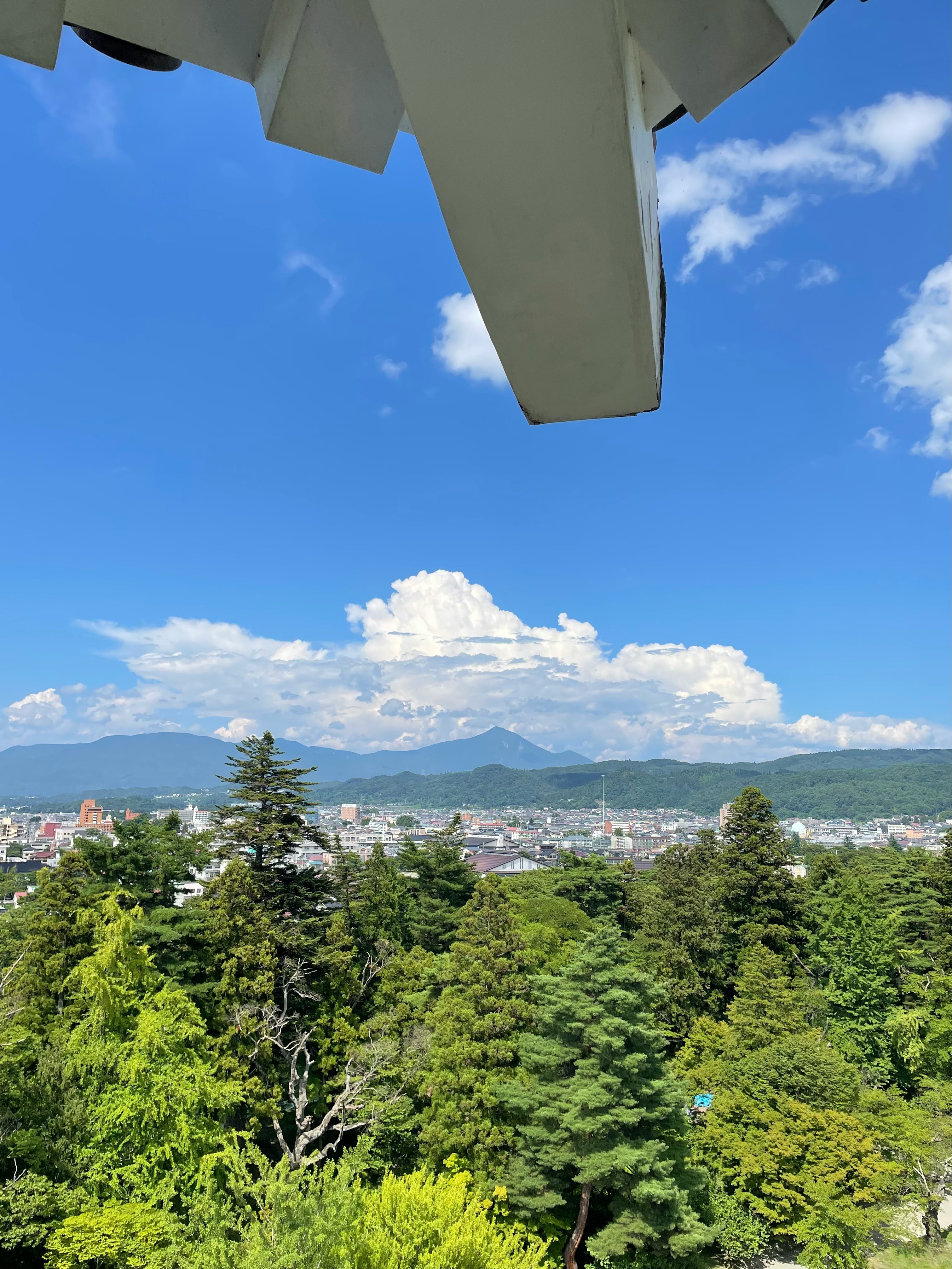 vista di una foresta verde rigogliosa con montagne sullo sfondo