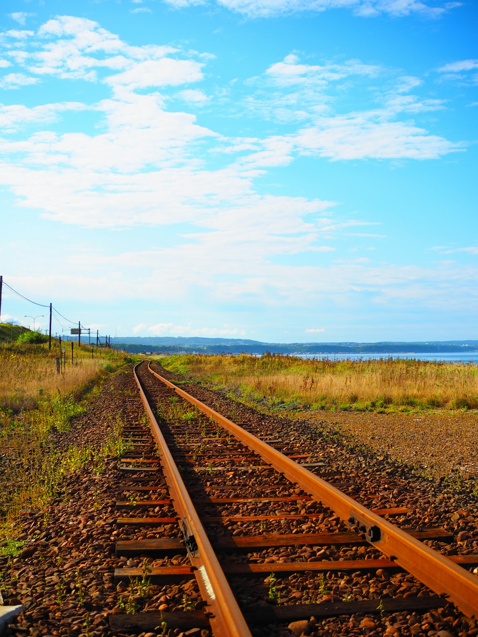 Railroad tracks stretching through a grassy landscape under a blue sky