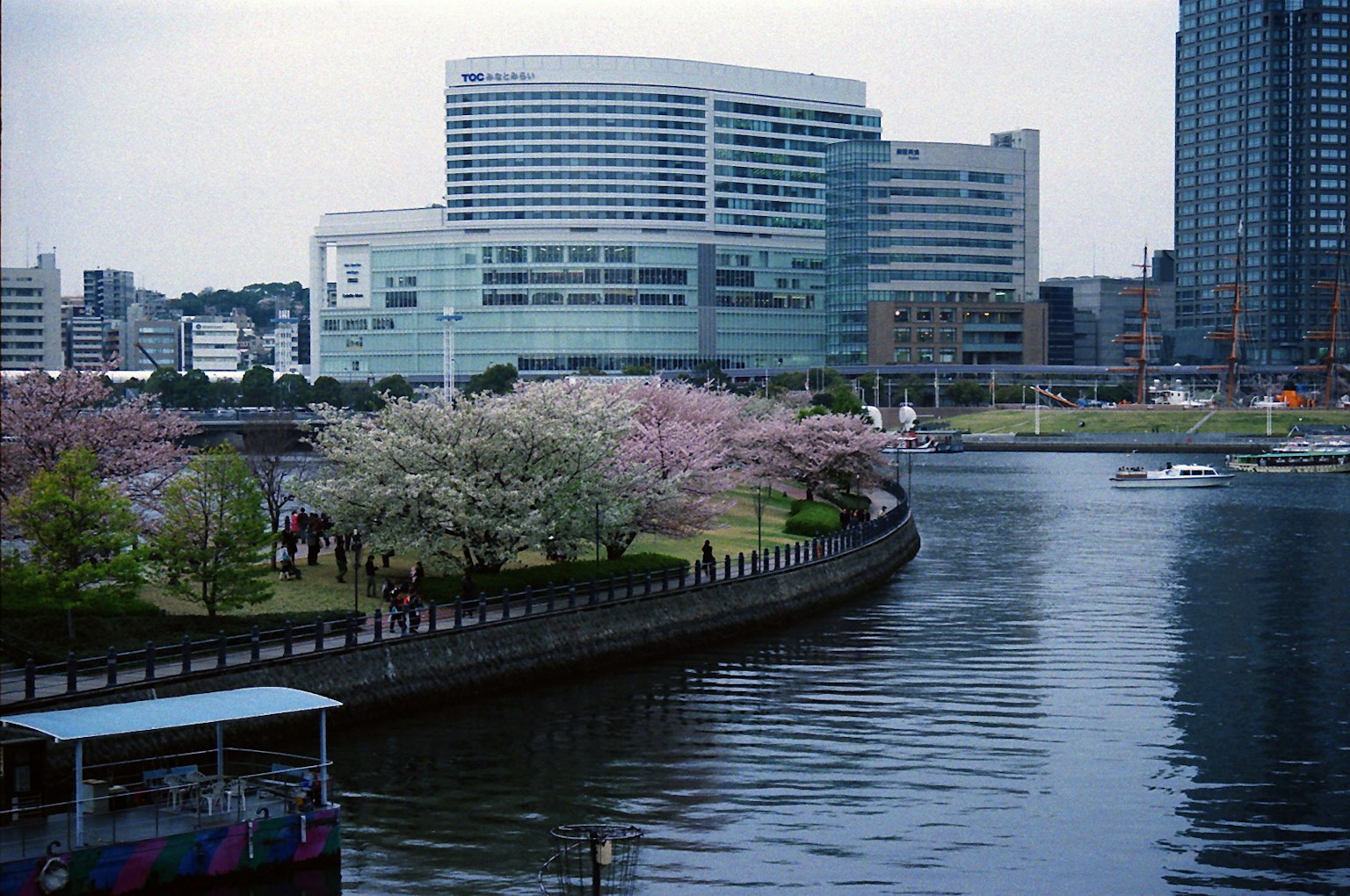 Vista escénica de cerezos a lo largo del río con edificios modernos