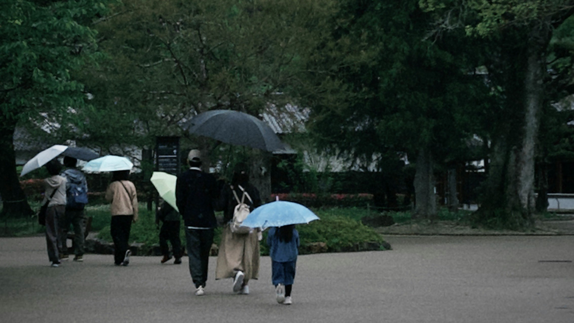 雨の公園を歩く人々と傘