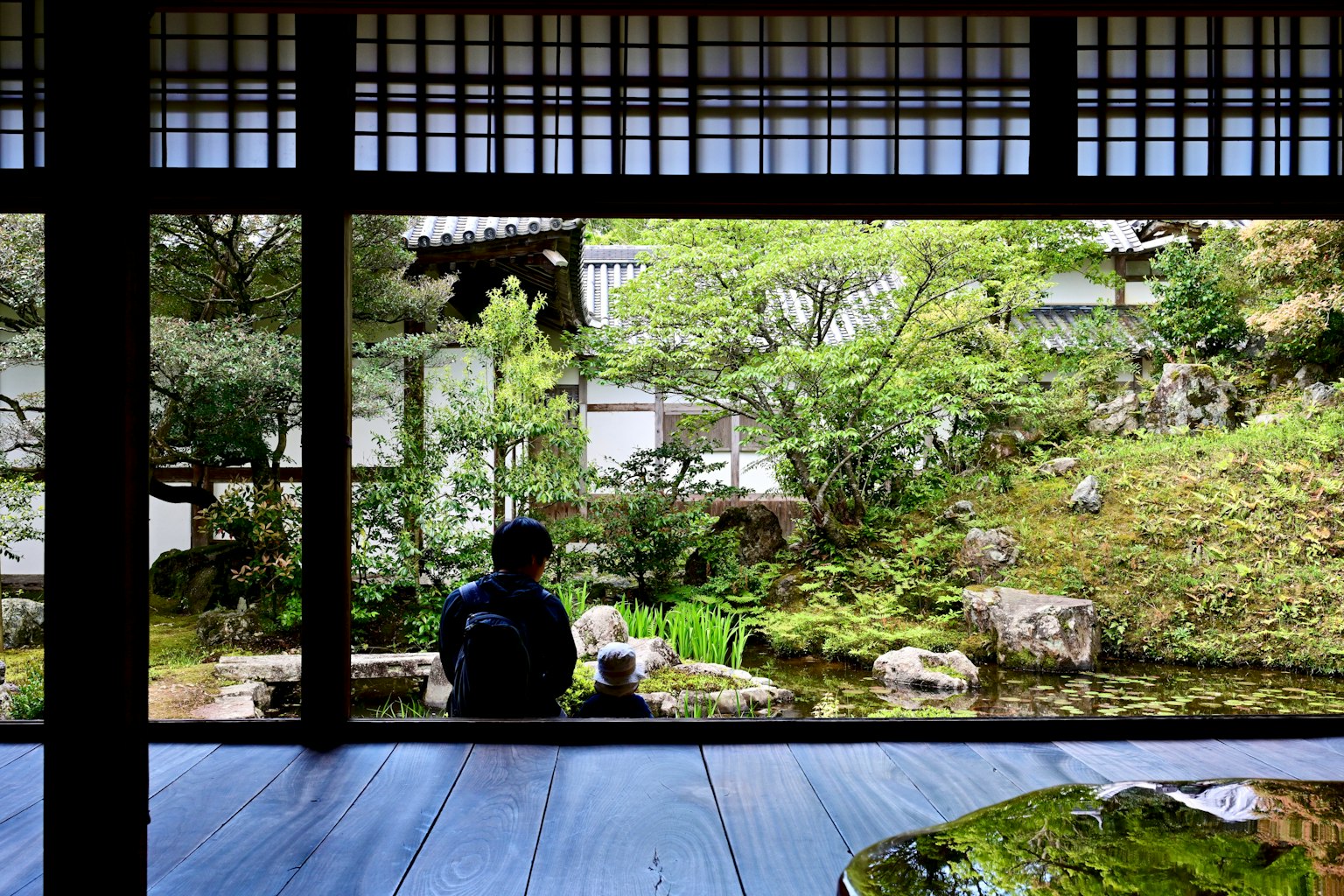 静かな日本庭園を眺める人の後ろ姿