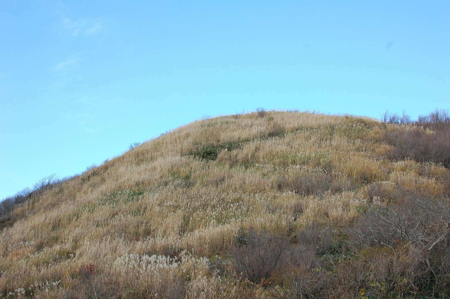 Paesaggio di una collina erbosa sotto un cielo azzurro