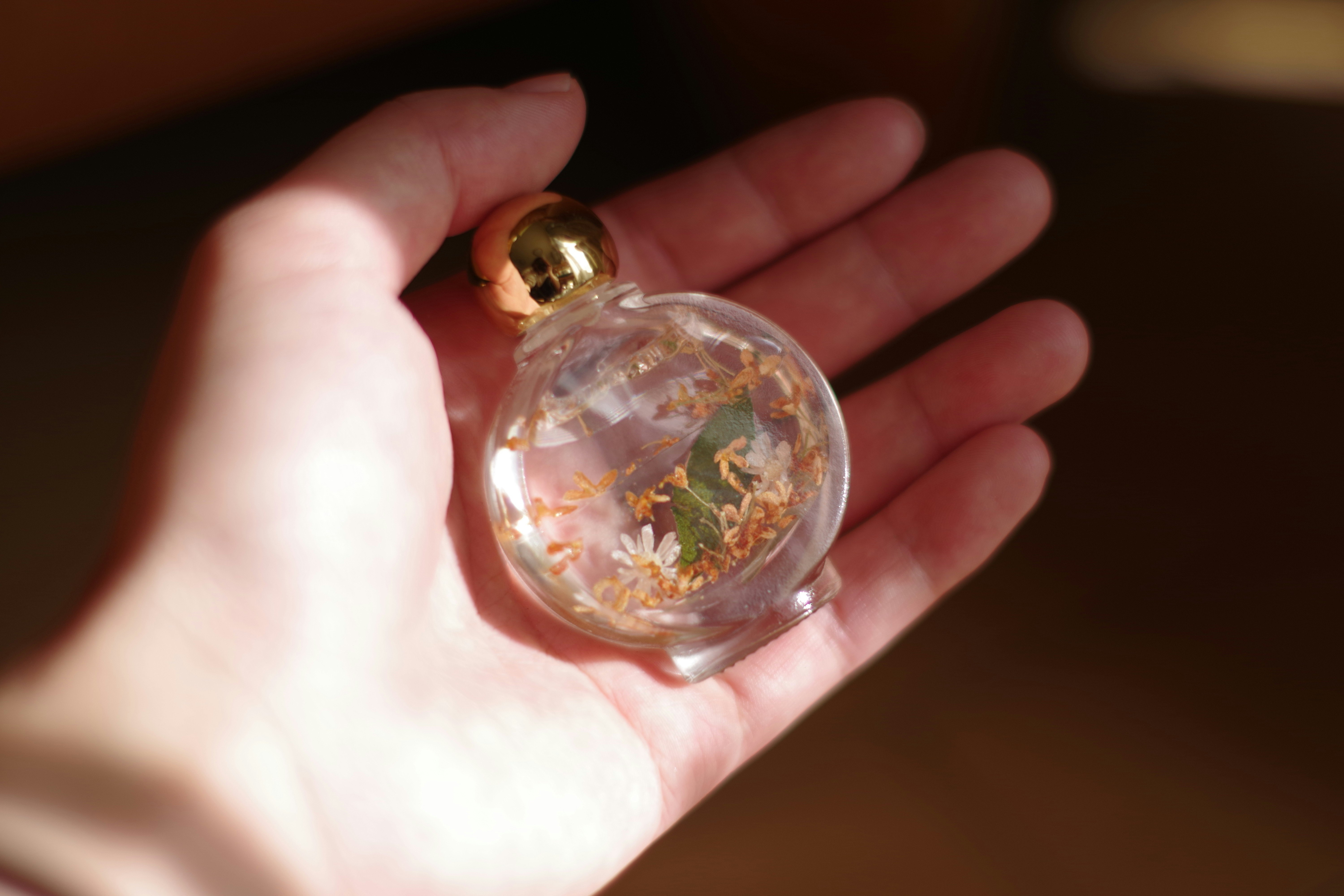 手掌里的透明玻璃小瓶与干花