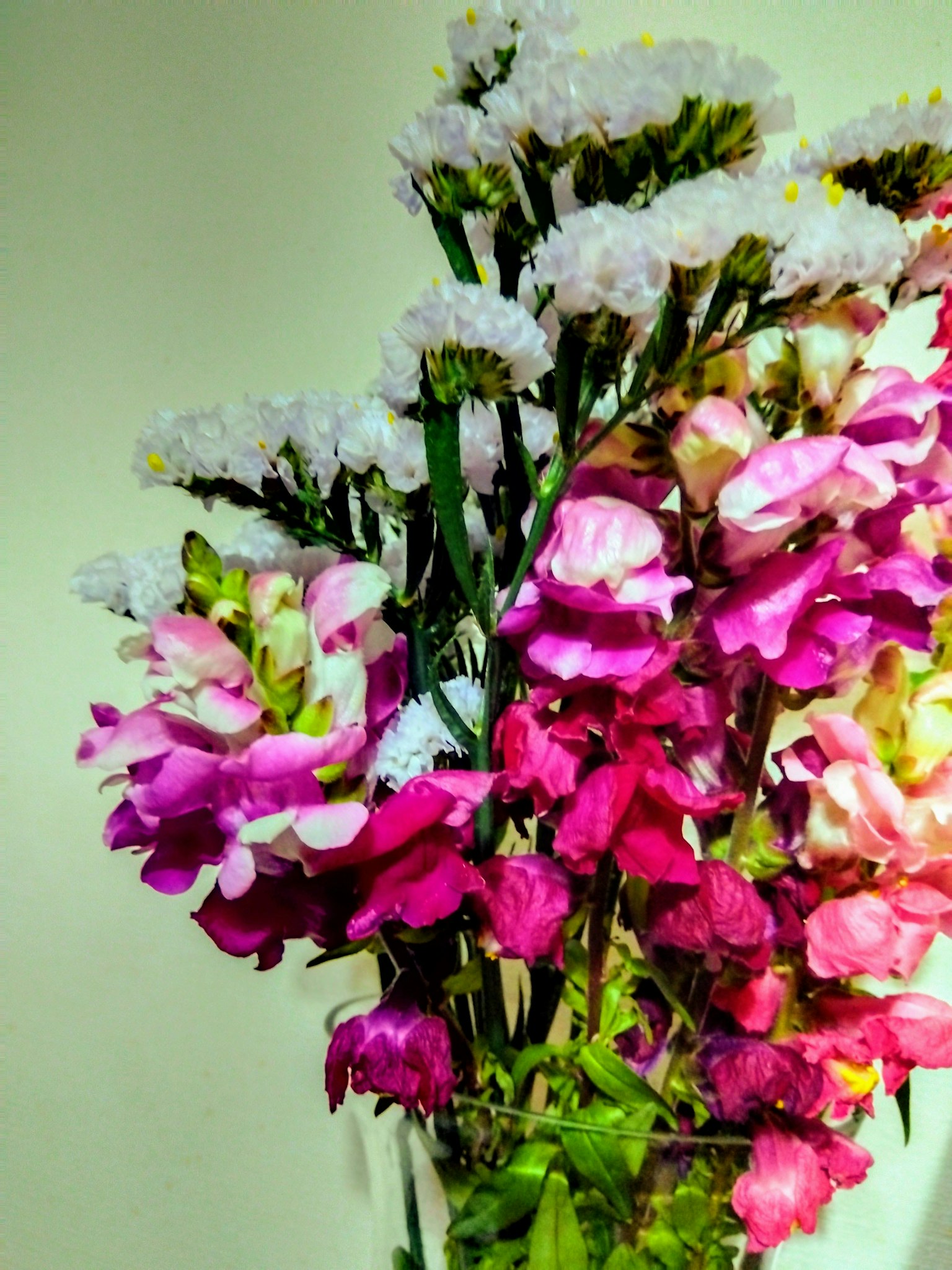 photo-Dr3oaCYYLXeFjPA7NmDV-image