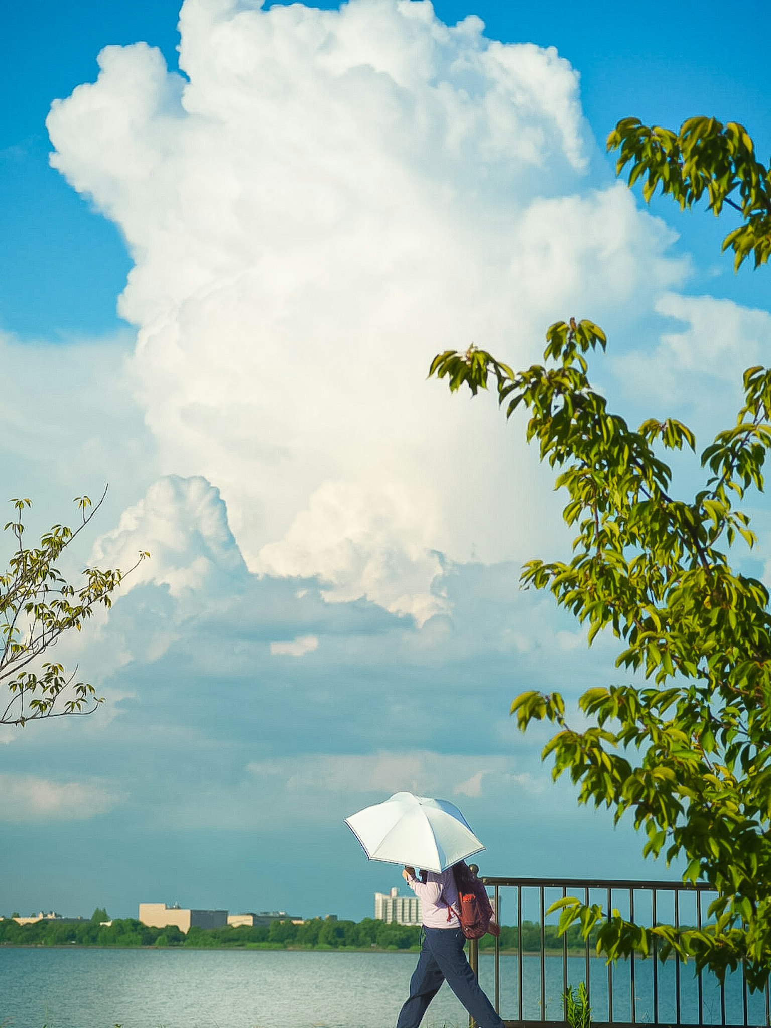Une personne marchant au bord du lac sous un ciel bleu avec des nuages blancs duveteux tenant un parapluie blanc