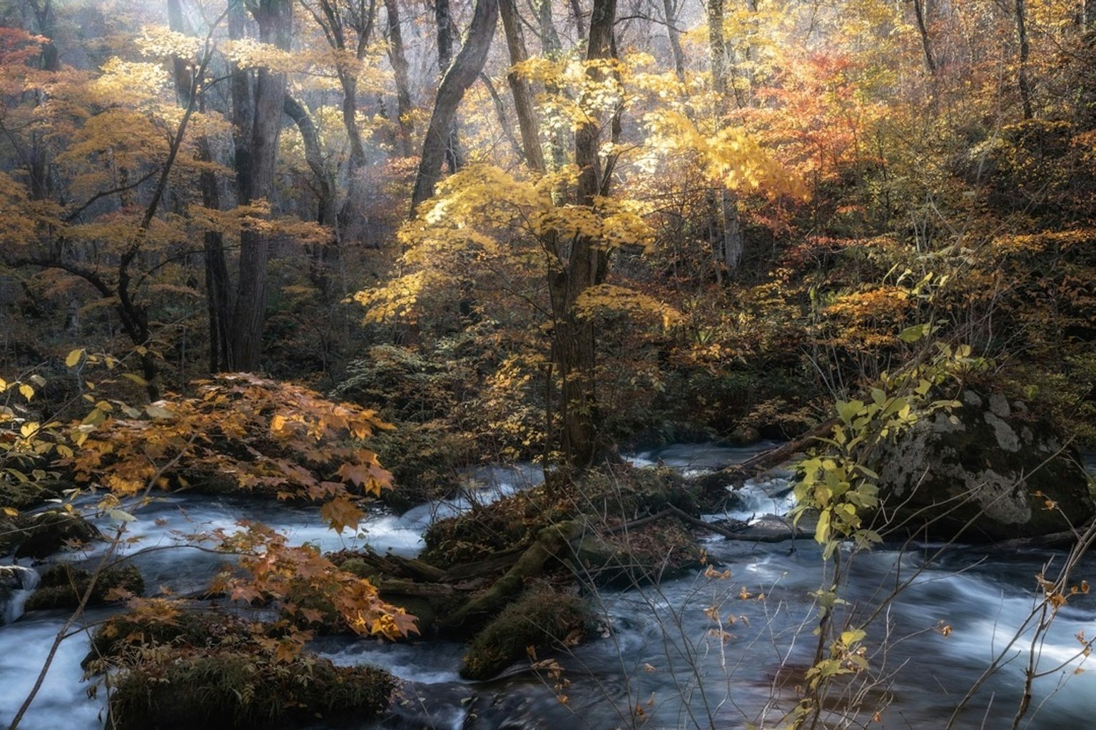 Un ruscello sereno che scorre attraverso una foresta autunnale con foglie colorate