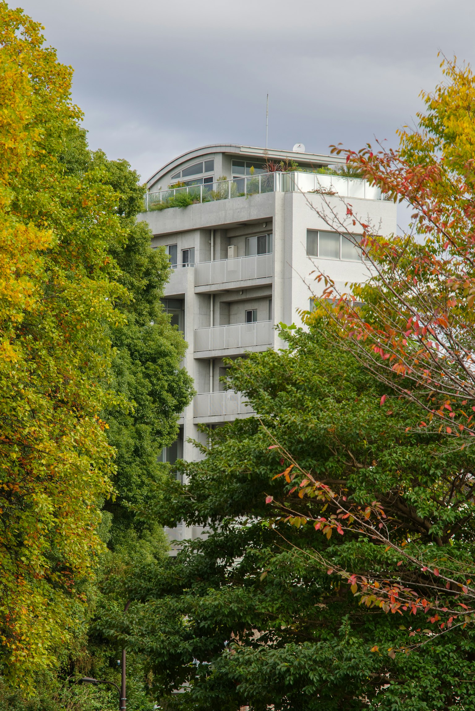Modern building surrounded by autumn trees