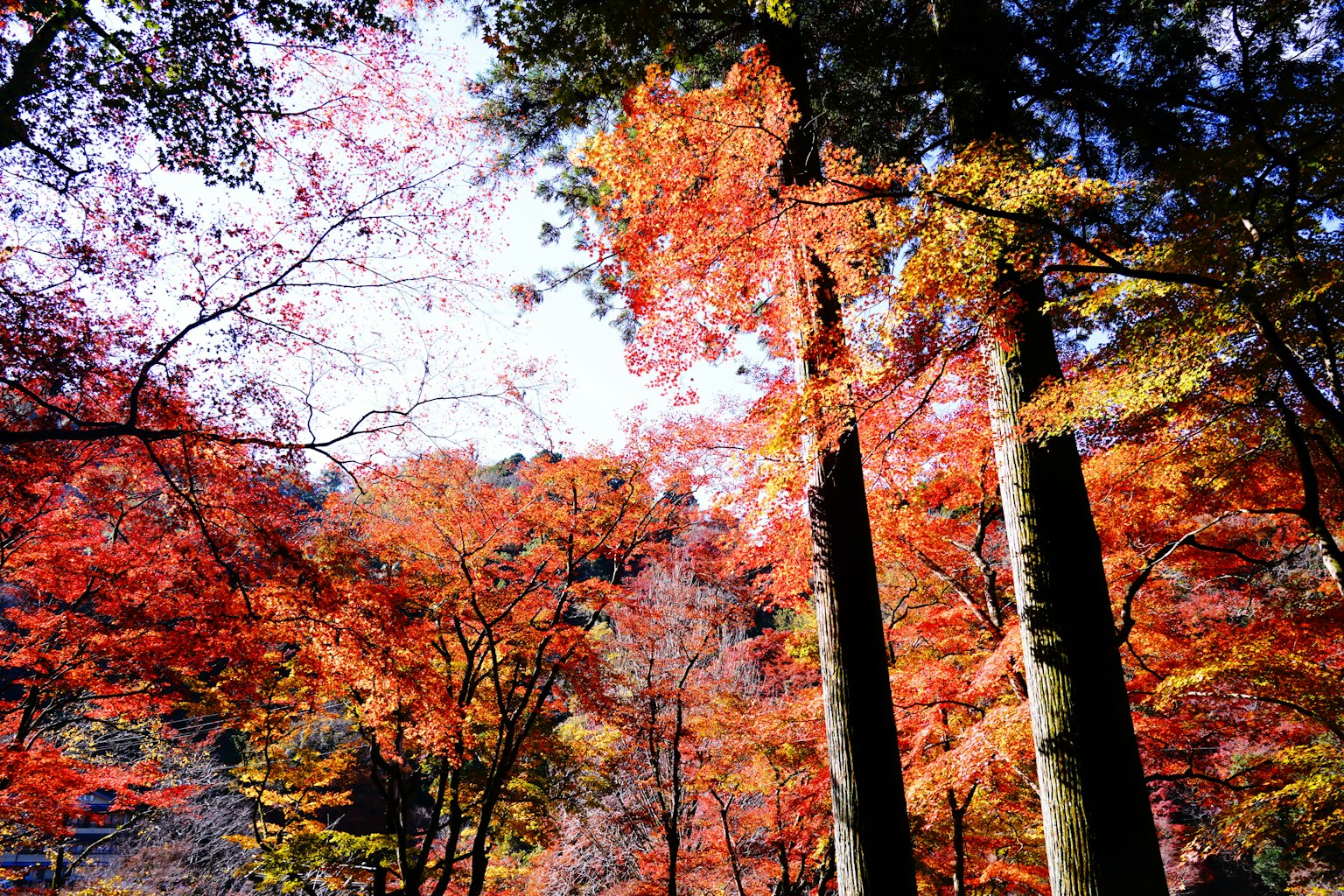 photo-Dt1qi7n4yJavdx9l30DL-image