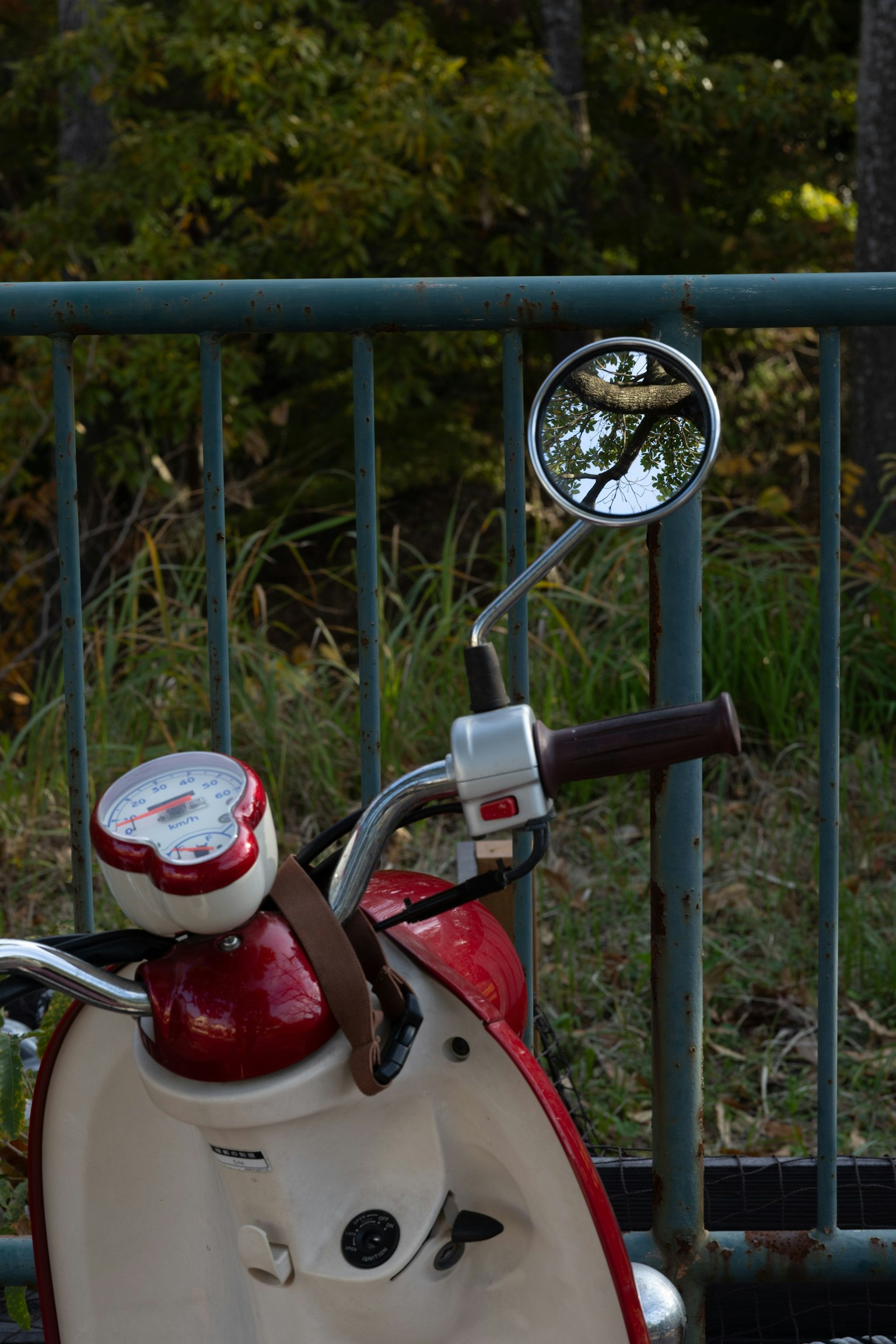 Red scooter handle and mirror reflecting surroundings