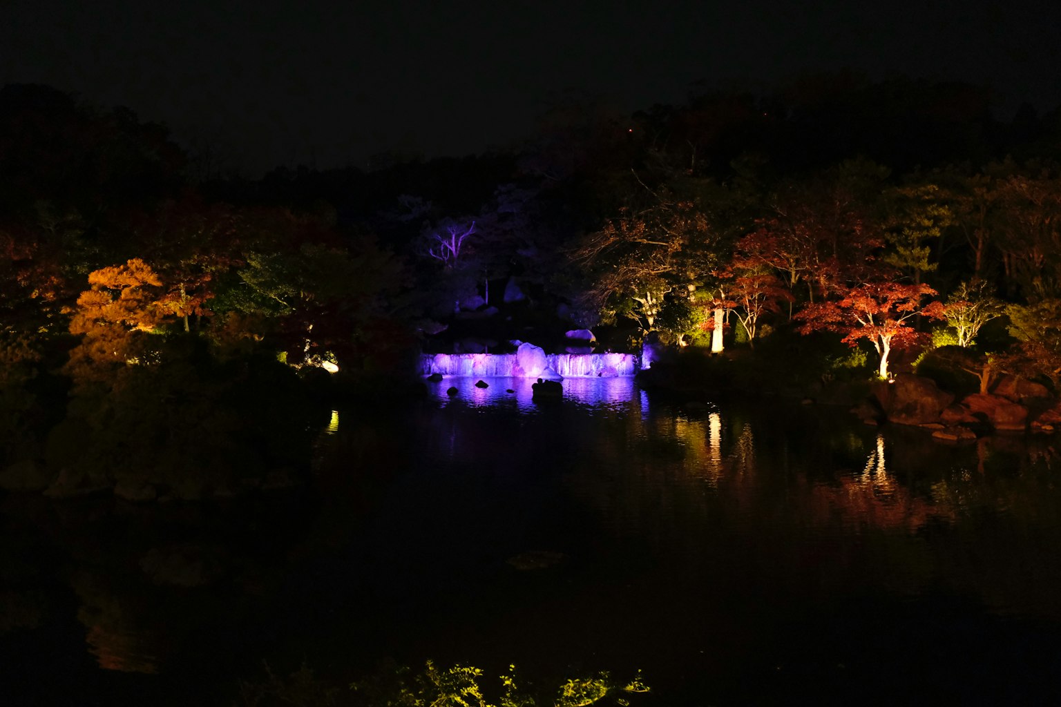 夜晚公园池塘上反射的五彩灯光