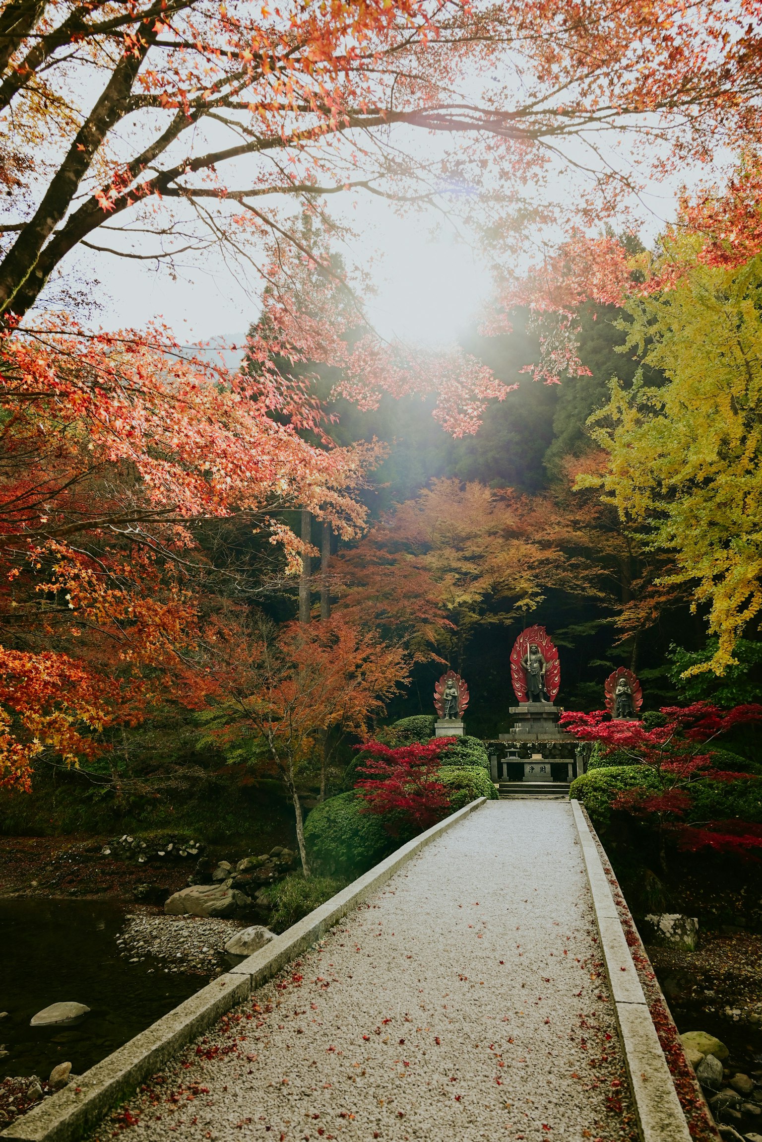 紅葉した木々に囲まれた静かな小道と神社の景色