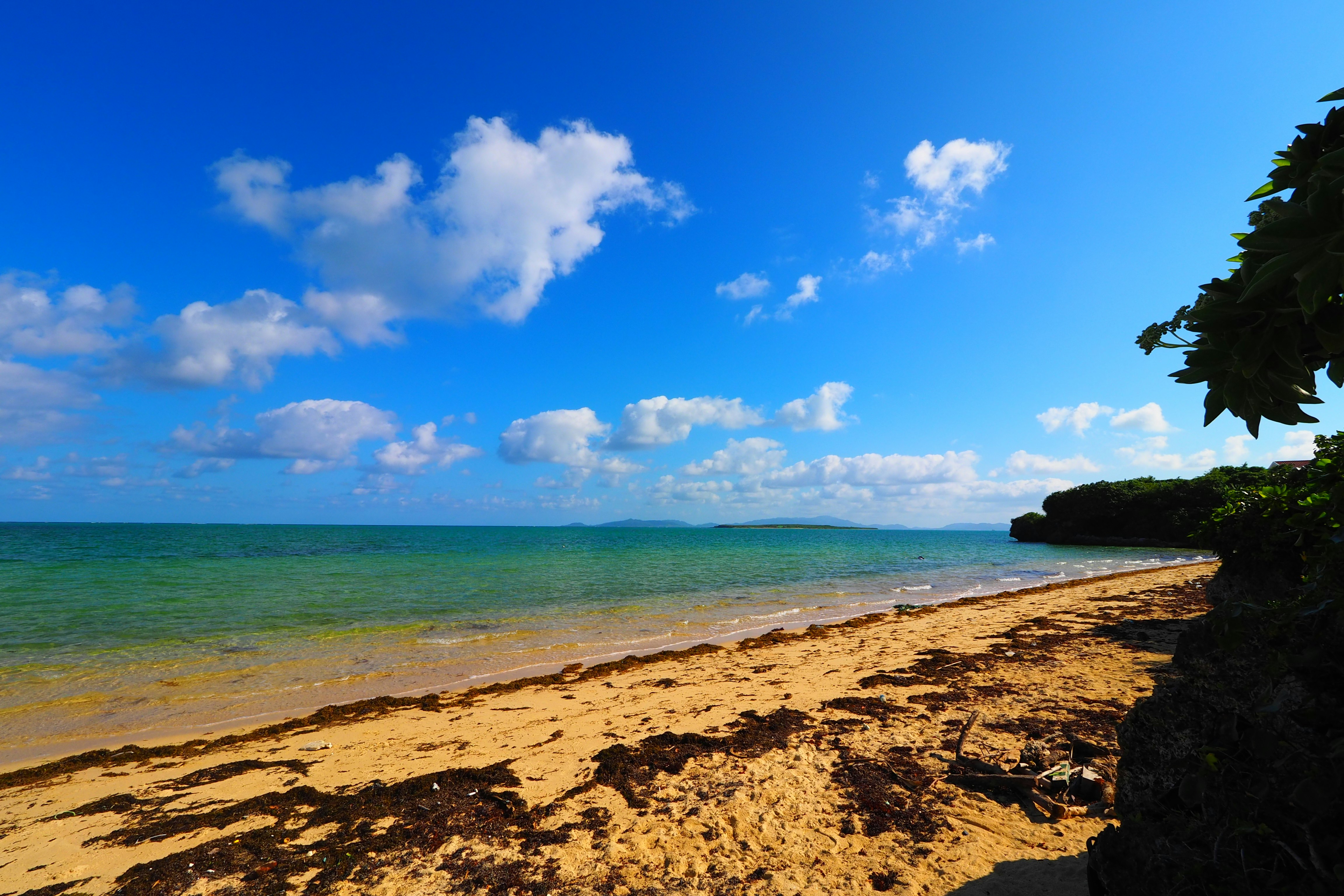 Sandy beach and calm sea under a blue sky