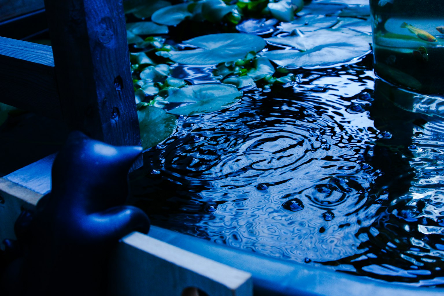 Un oggetto nero vicino a uno stagno con acqua blu increspata e ninfee