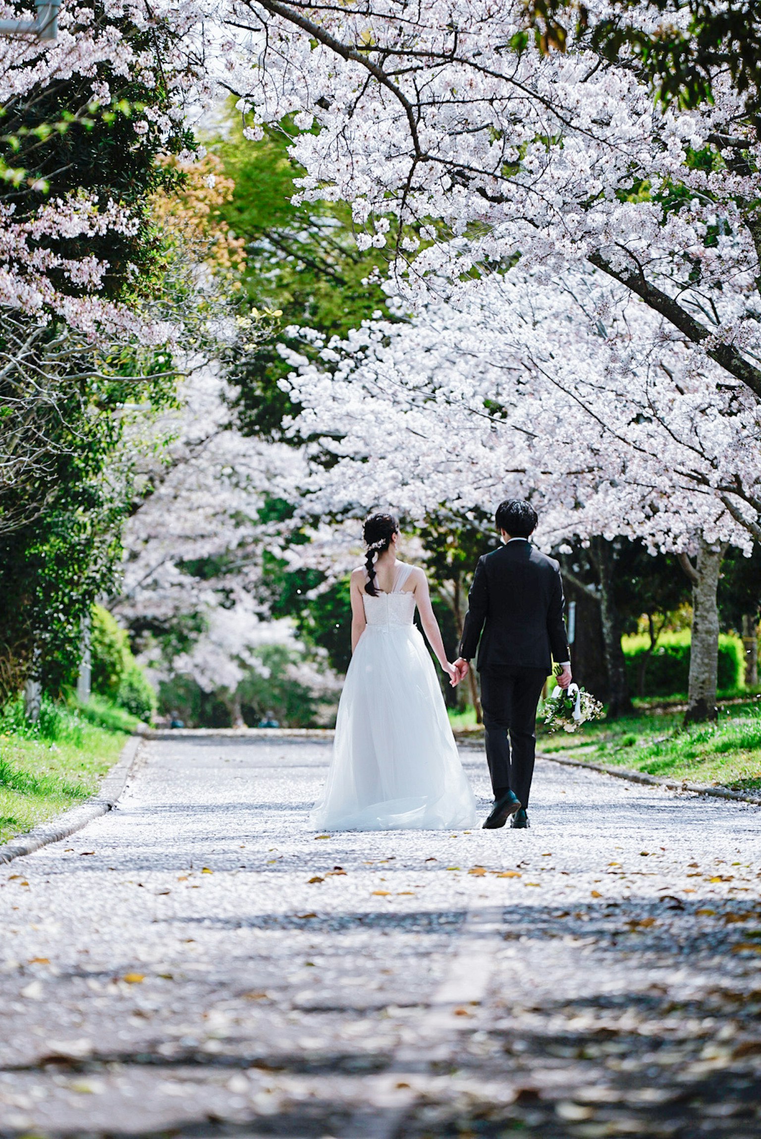 Marié et mariée marchant sous des cerisiers en fleurs