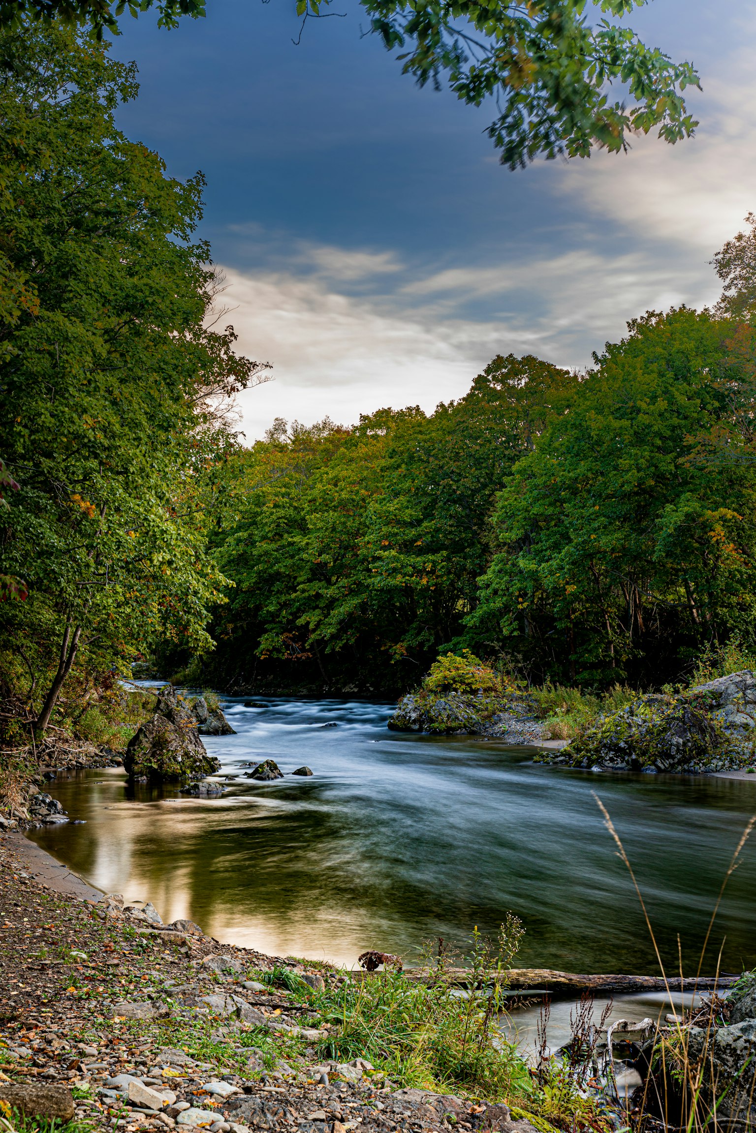 Paysage de rivière serein entouré d'arbres verts luxuriants