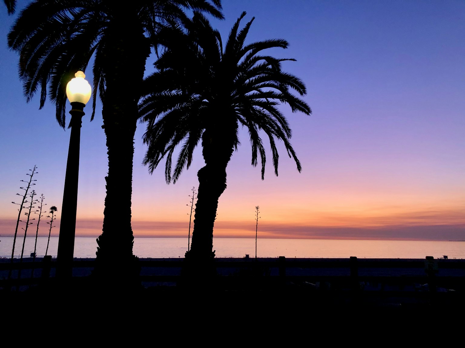 Silueta de palmeras y farola al atardecer junto a la playa