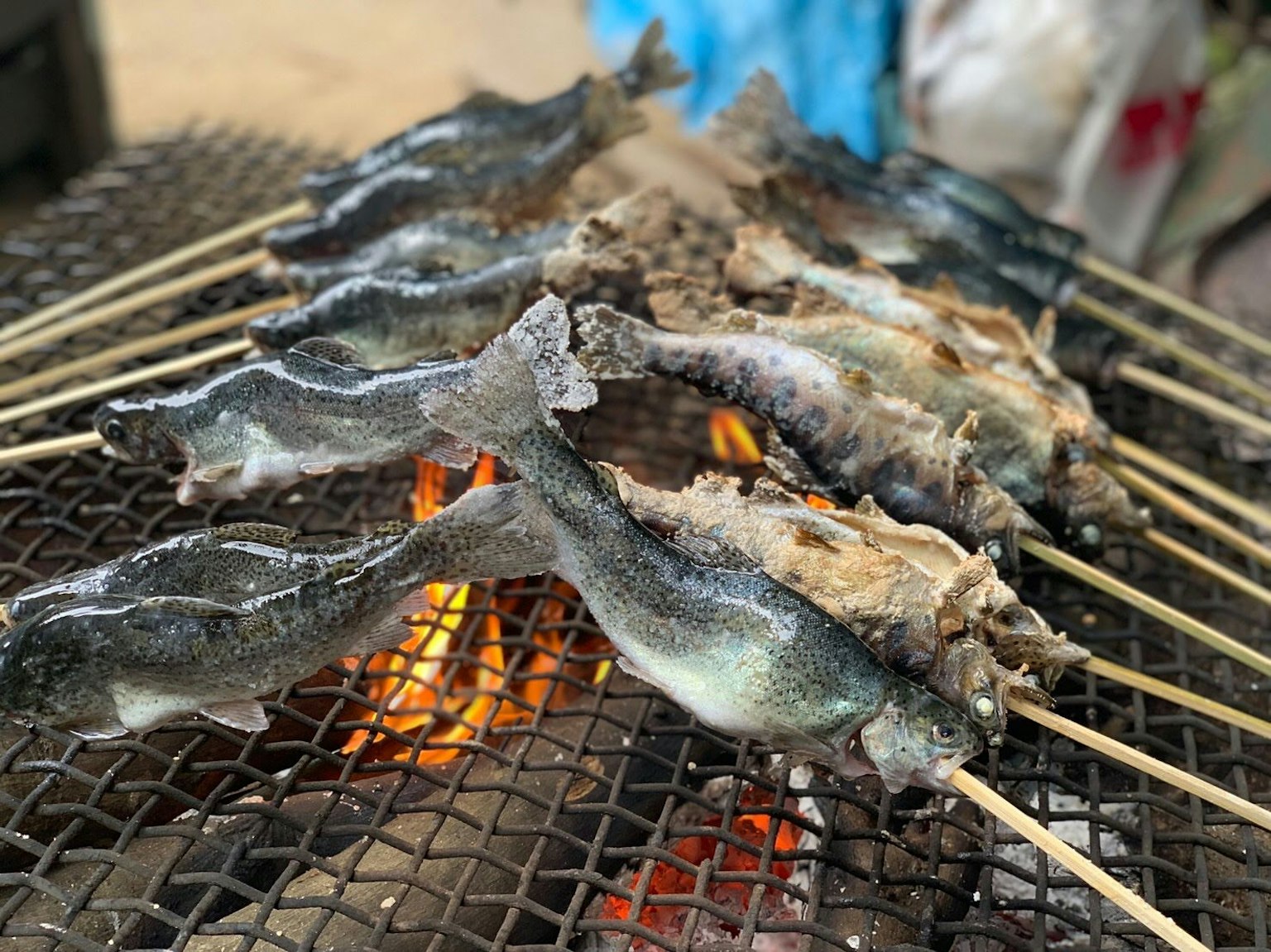 Brochetas de pescado a la parrilla sobre una llama abierta