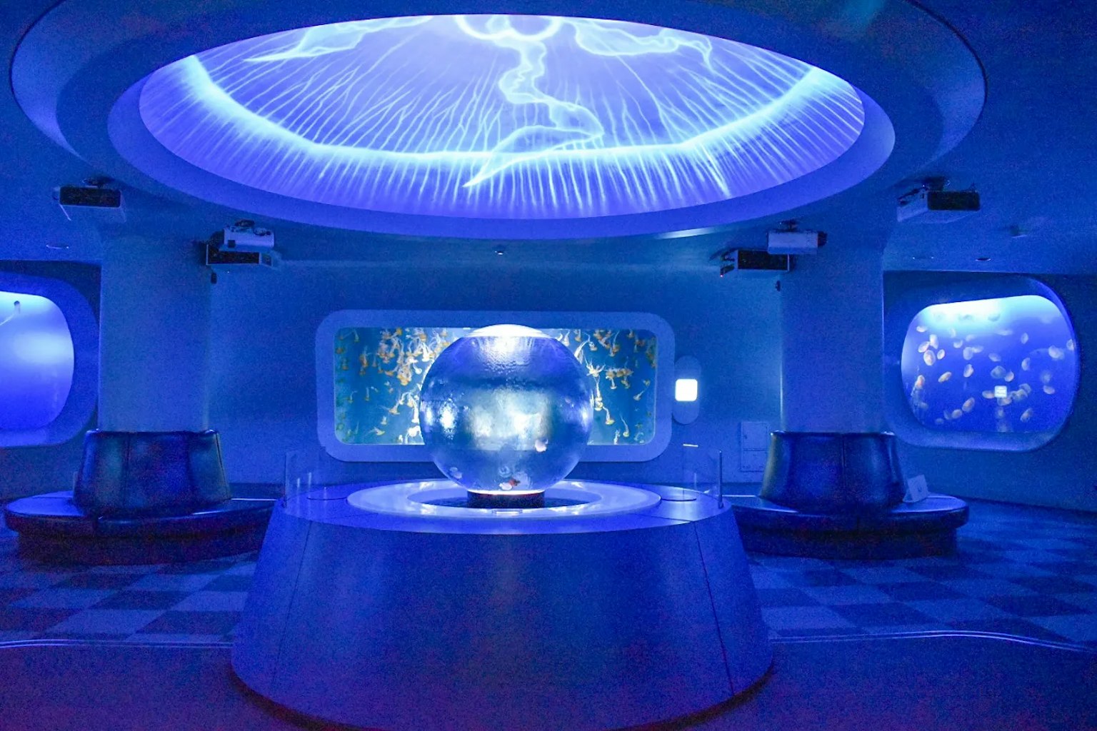 Interior akuarium dengan pencahayaan biru yang menampilkan tangki bulat dan jendela besar