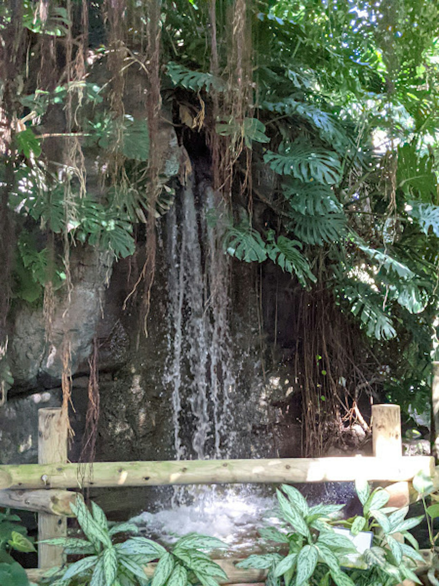Image of a waterfall surrounded by lush greenery Water flowing from rocks
