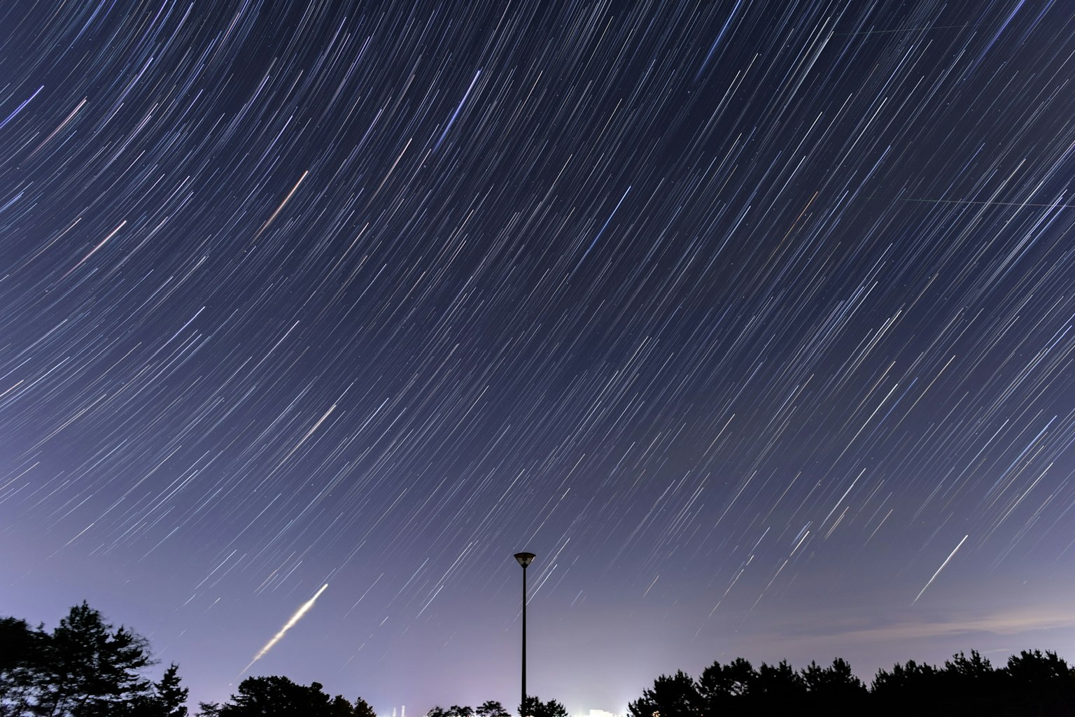 Cielo notturno con scie di stelle e silhouette di alberi