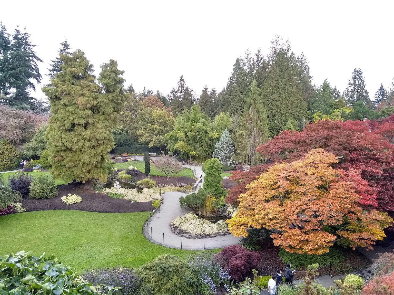 Vue pittoresque d'un beau jardin avec des arbres colorés et un chemin sinueux