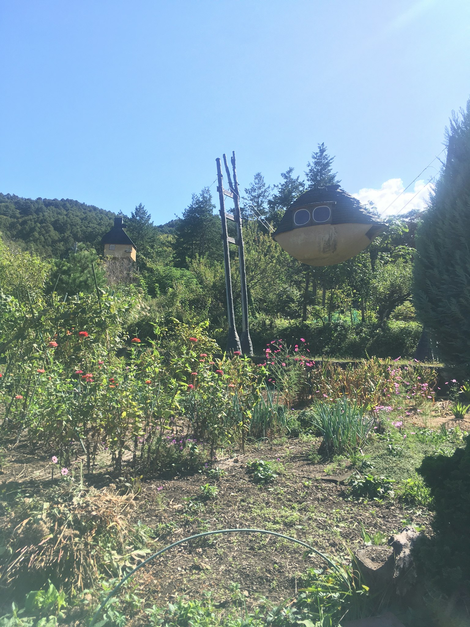 Kebun subur dengan bunga yang mekar dan kebun sayur dengan rumah di latar belakang