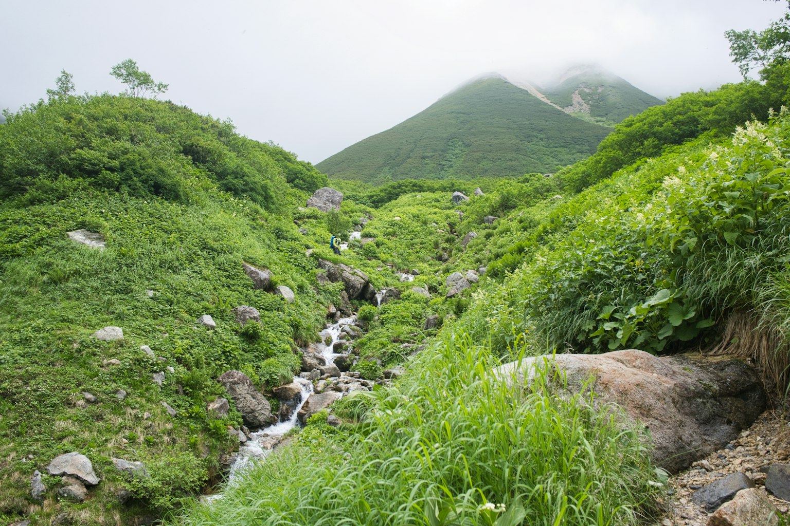 Những ngọn đồi xanh tươi với dòng suối chảy dưới bầu trời mù sương