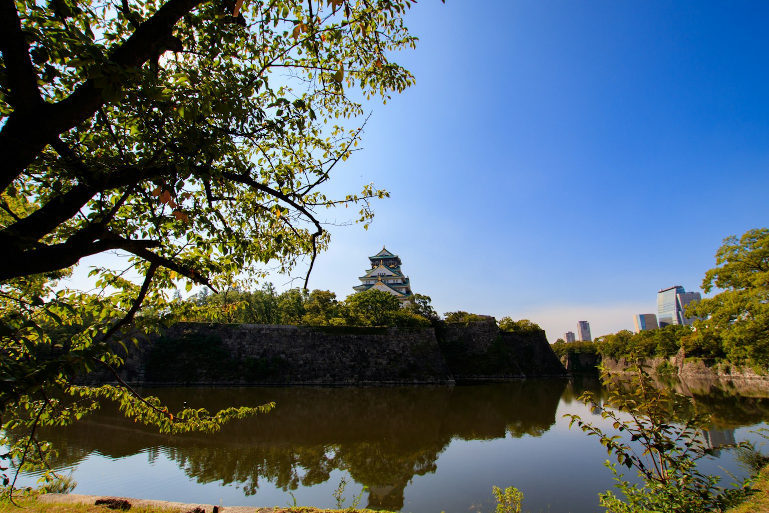 Vista panoramica del castello di Osaka circondato da vegetazione sotto un cielo blu chiaro