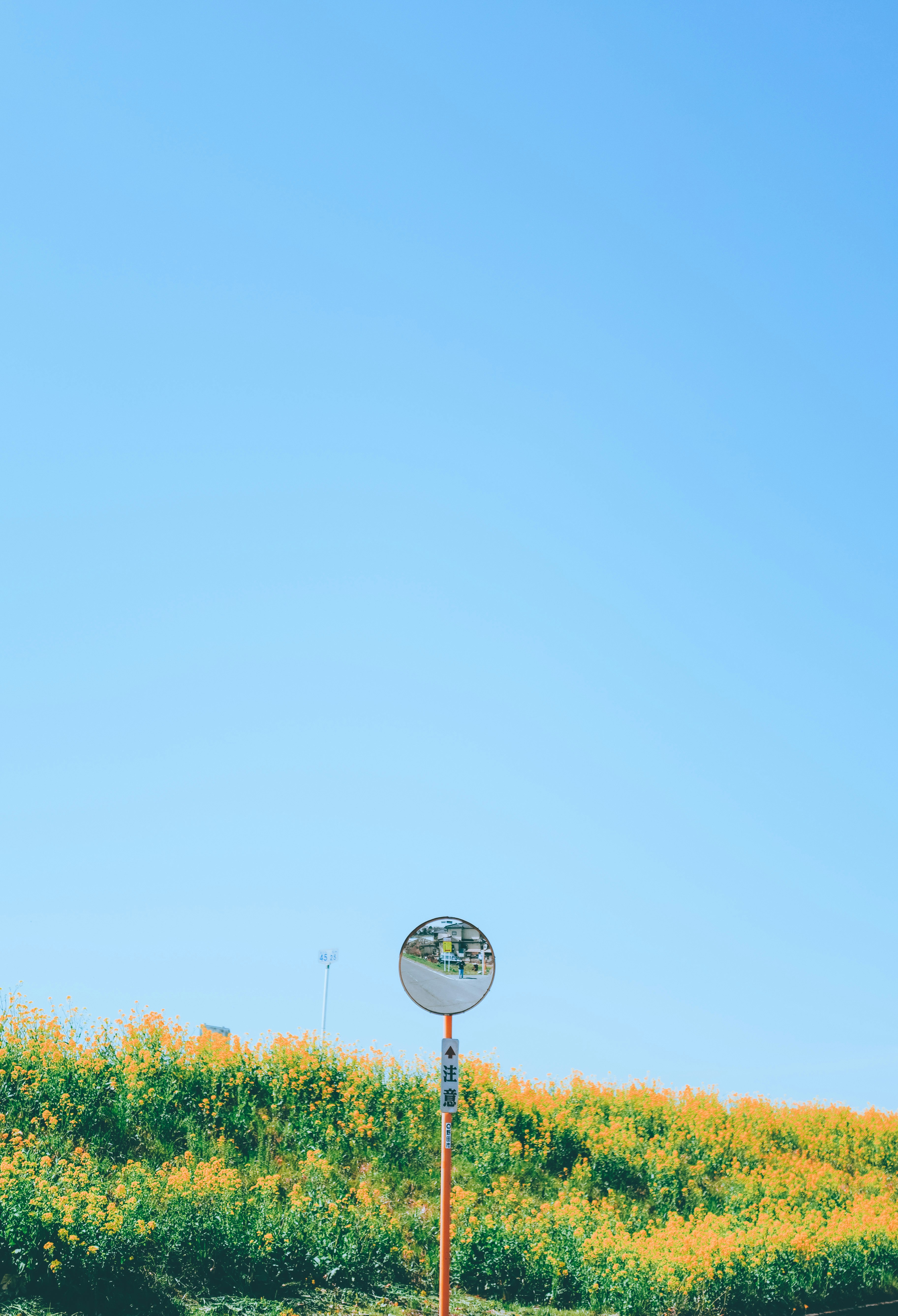 青空の下、菜の花畑の上に立つガラス球のオブジェ