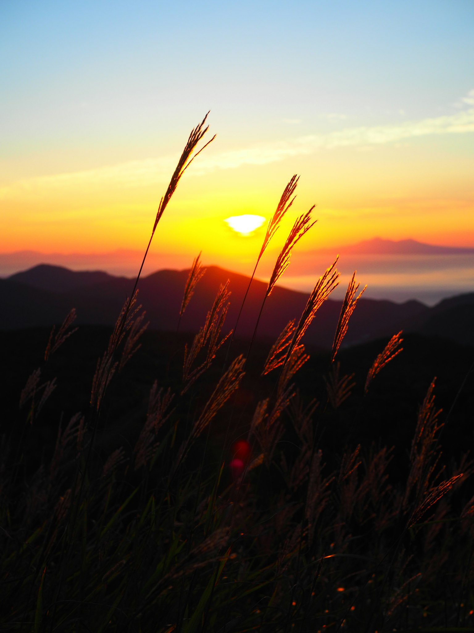 Silhouette dell'erba contro un tramonto su montagne