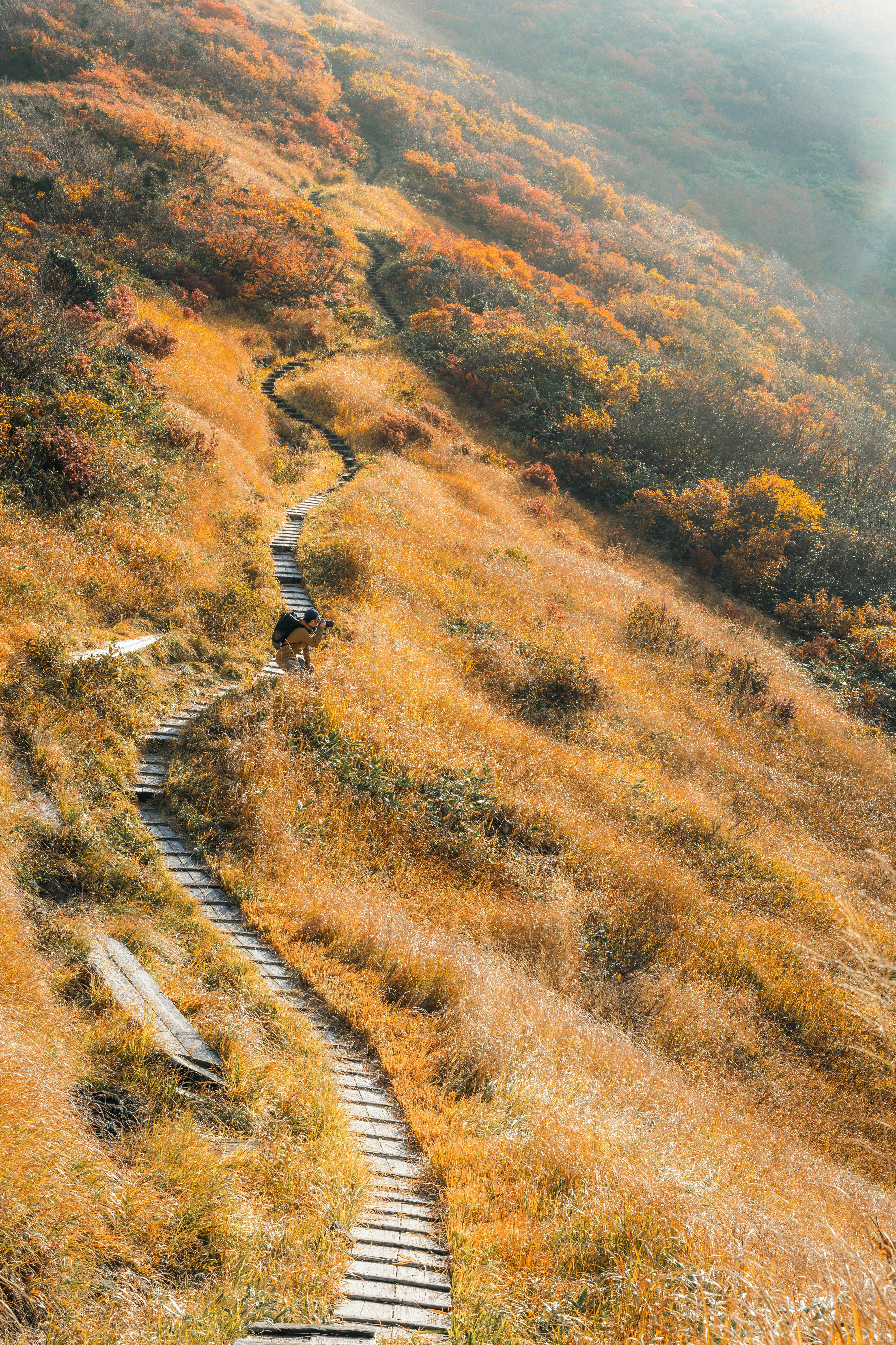 果てなく続く登り道の紅葉の山道