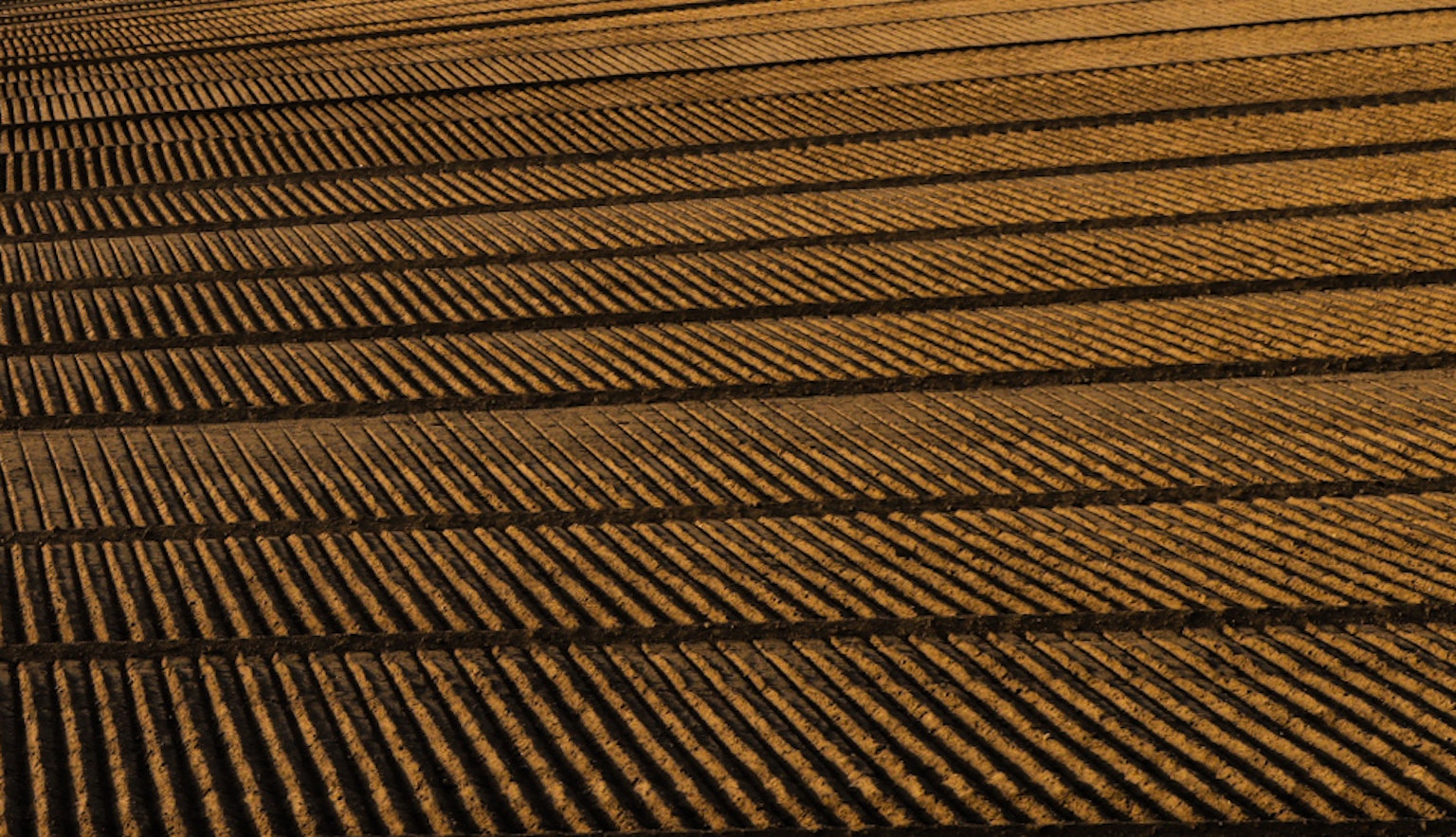 Vista aerea di campi agricoli a strisce