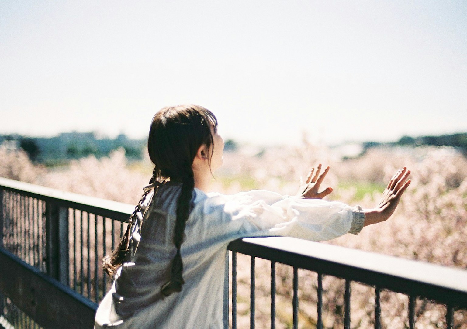 Ragazza in piedi su un balcone con ciliegi in fiore sullo sfondo