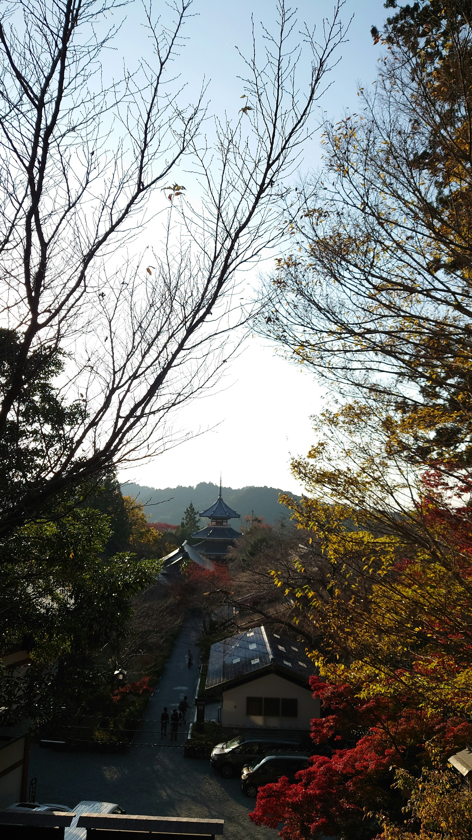 Vue d'automne sur des arbres et un temple