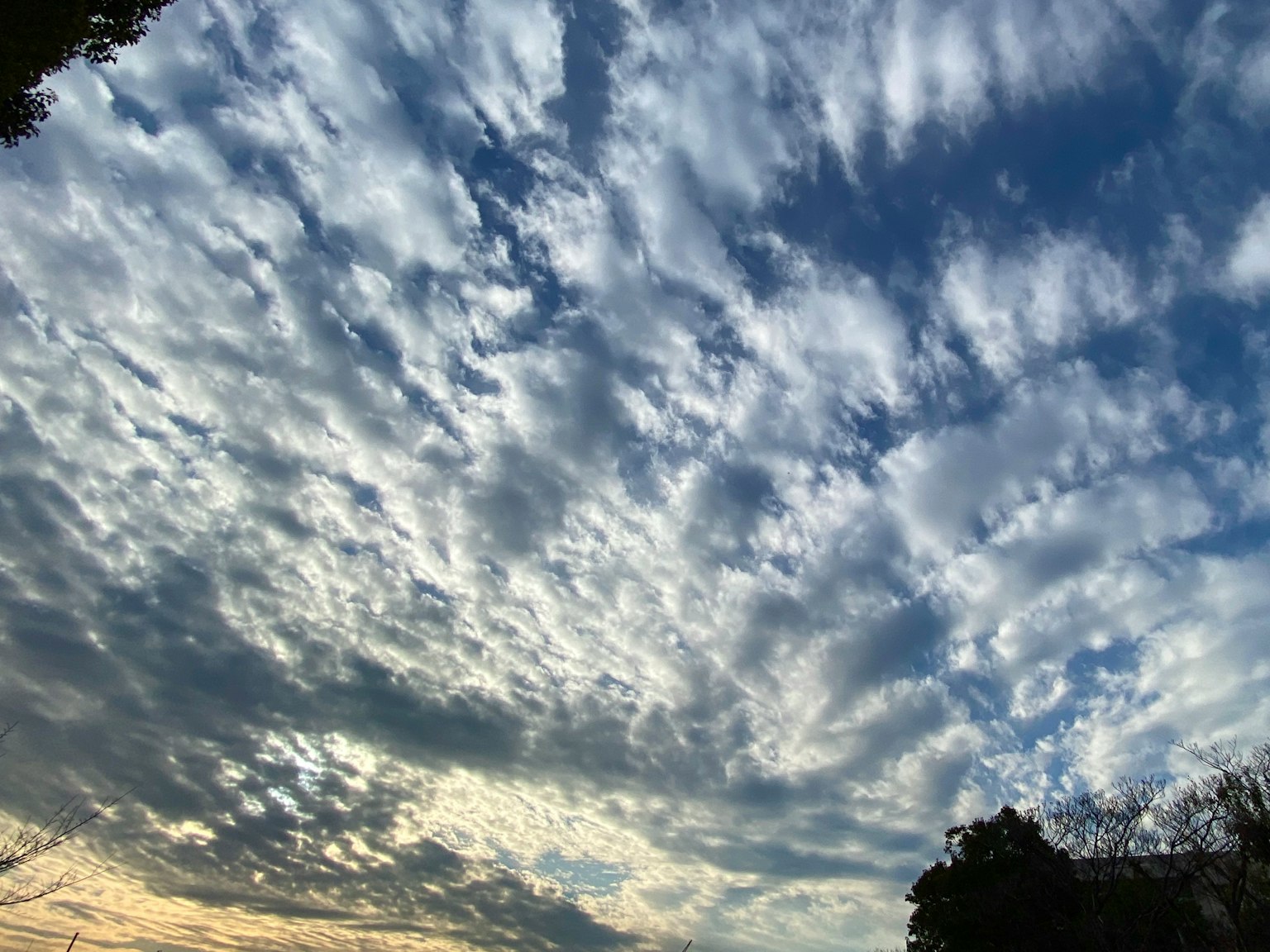 Motivo di nuvole bianche in un cielo blu