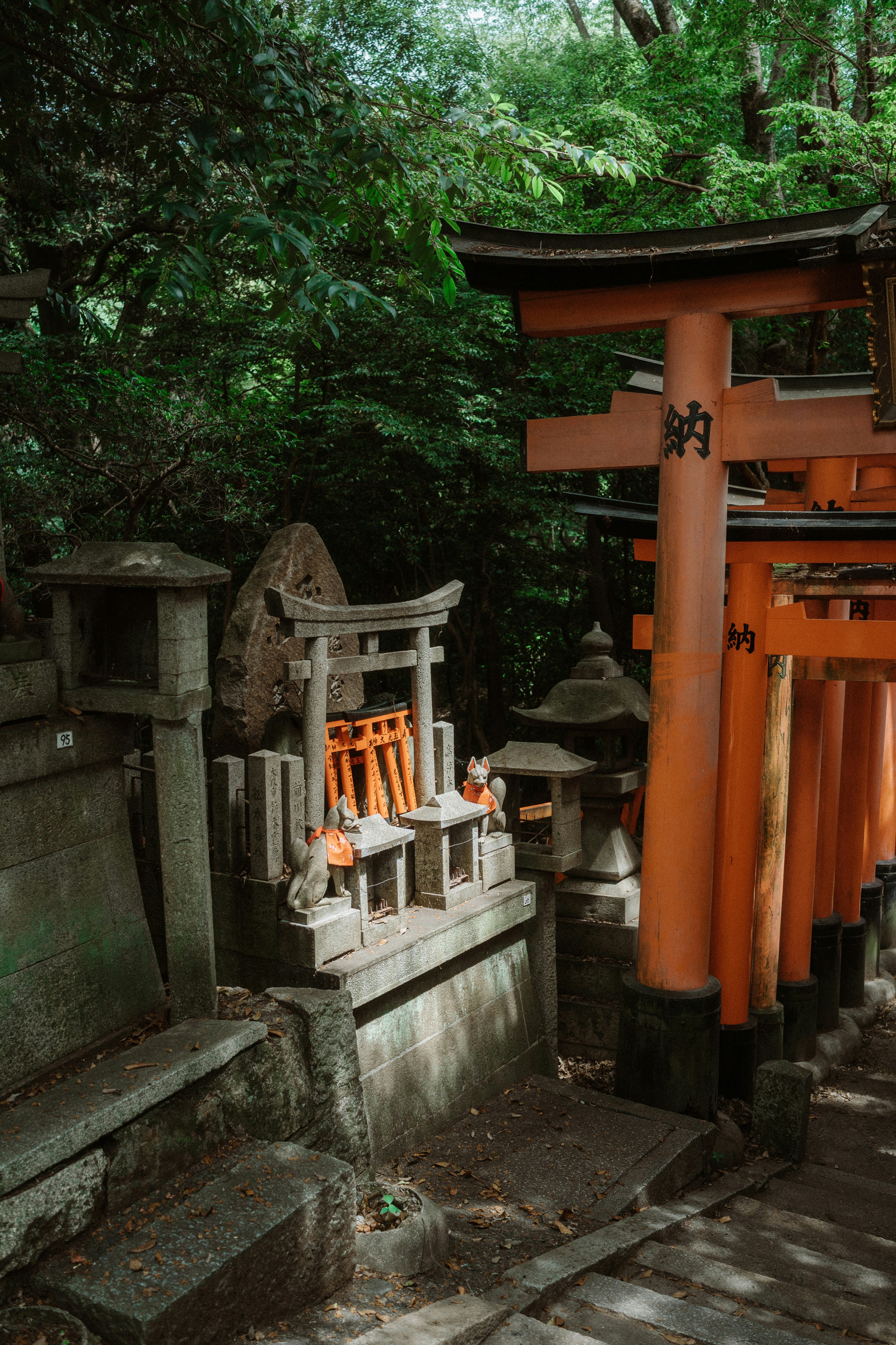 苔むす石段と朱色の鳥居が並ぶ神社の参道